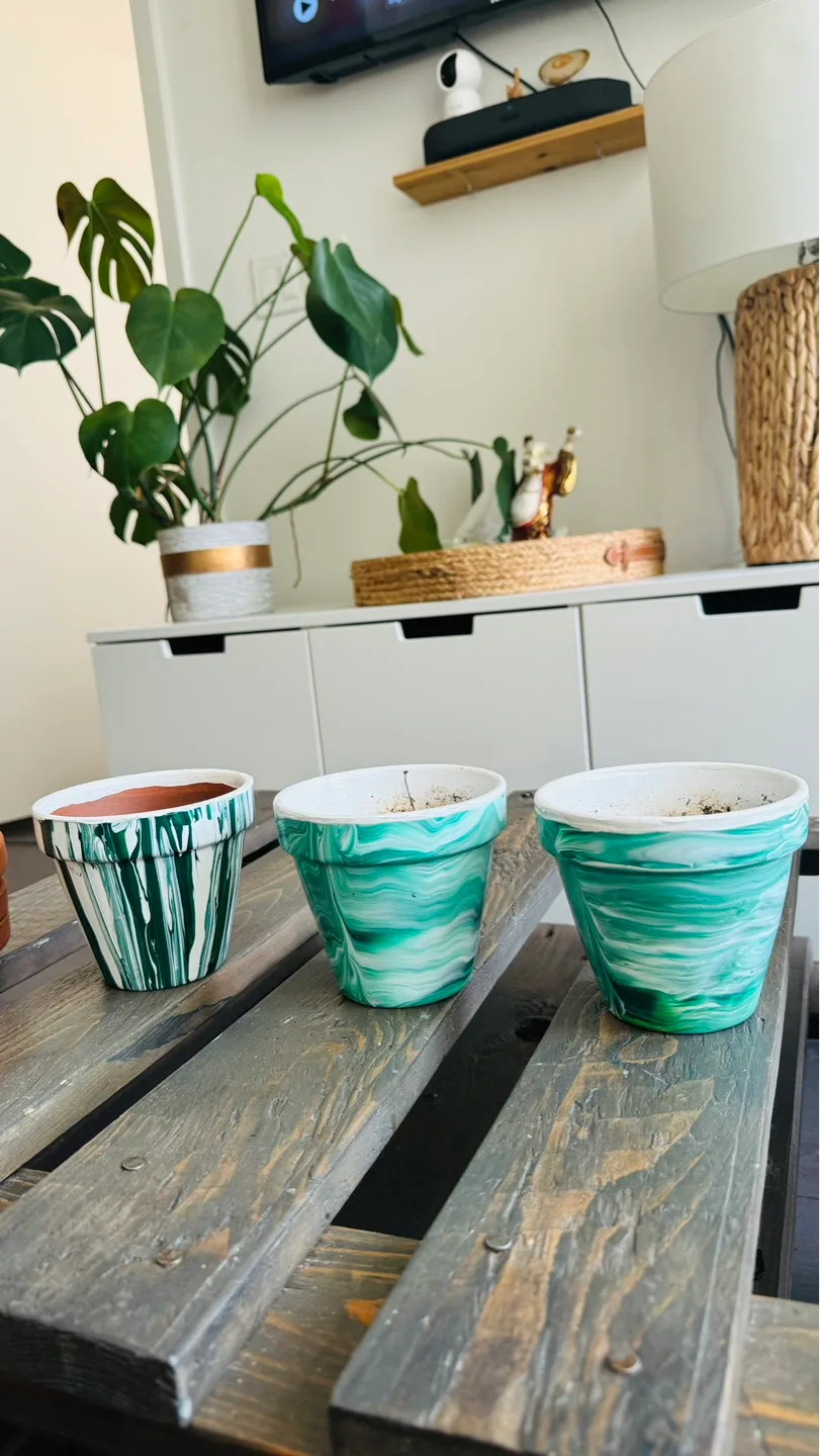 Set of 3 Hand-Painted Terracotta Pots💚 thumbnail