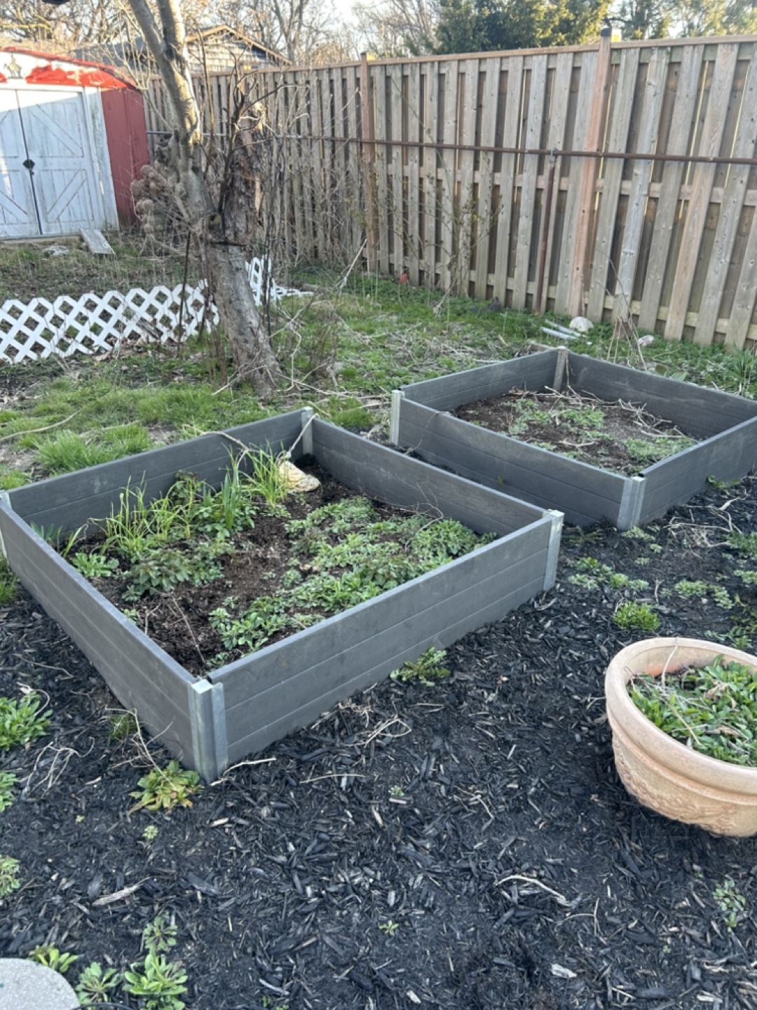Two Raised Garden Beds