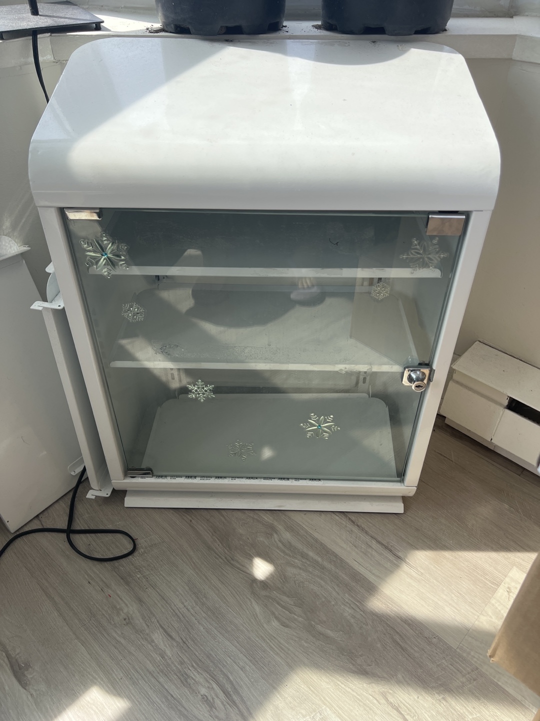 White Display Cabinet with Glass Door