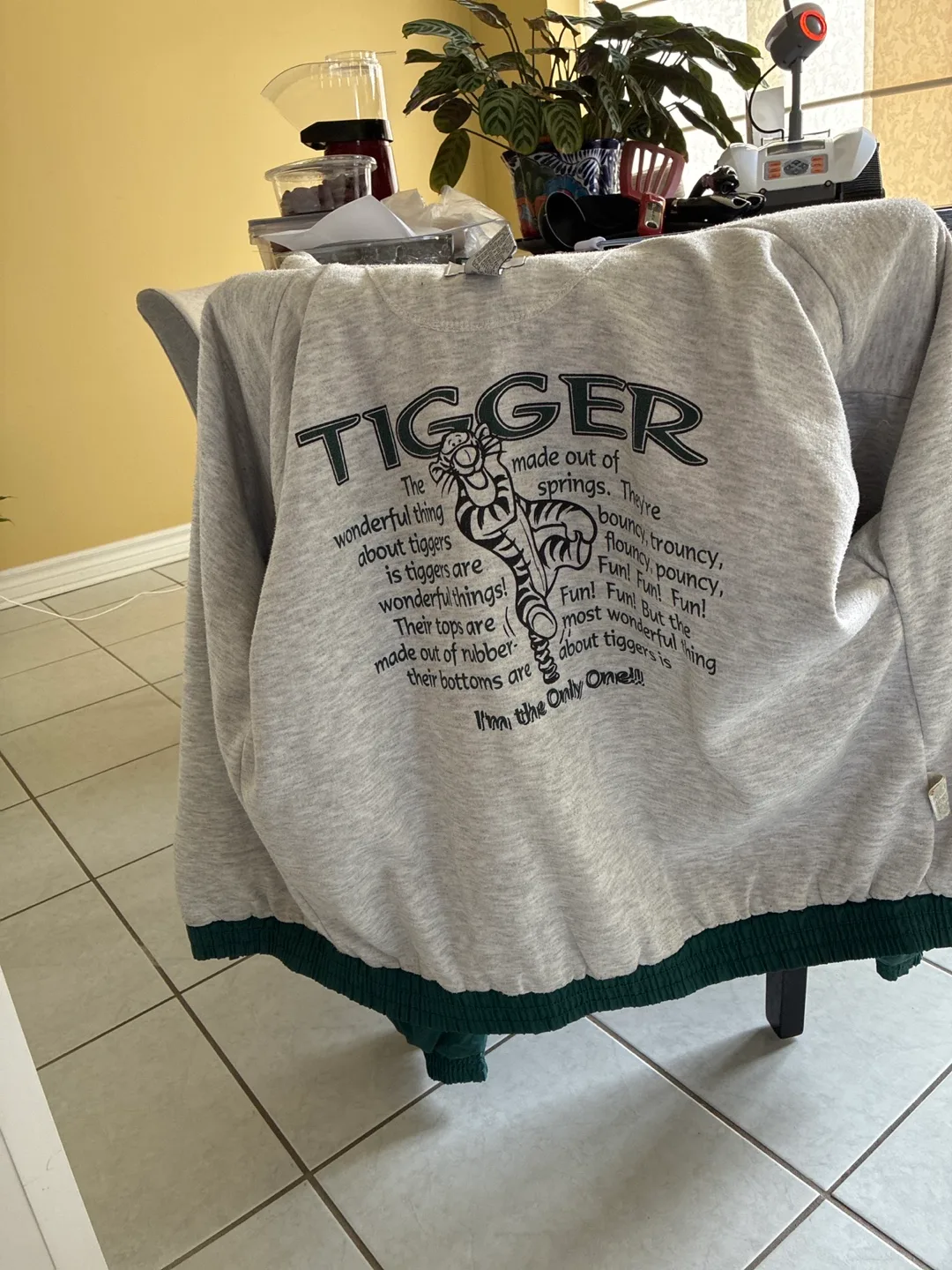 Vintage Disney Tigger Jacket image indicator(2)