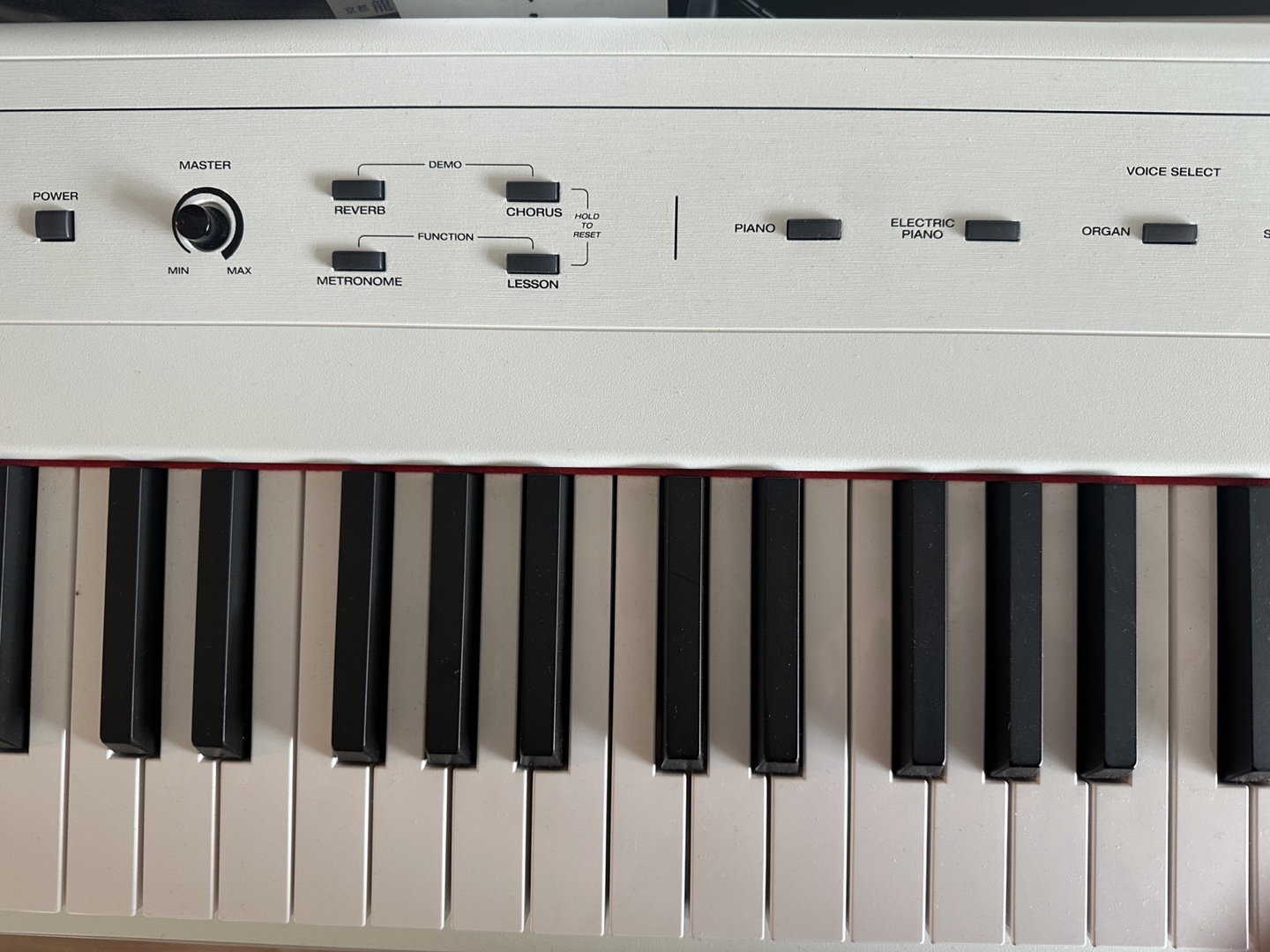 Alesis Recital - 88 Key Digital Piano Keyboard (White) - photo 2