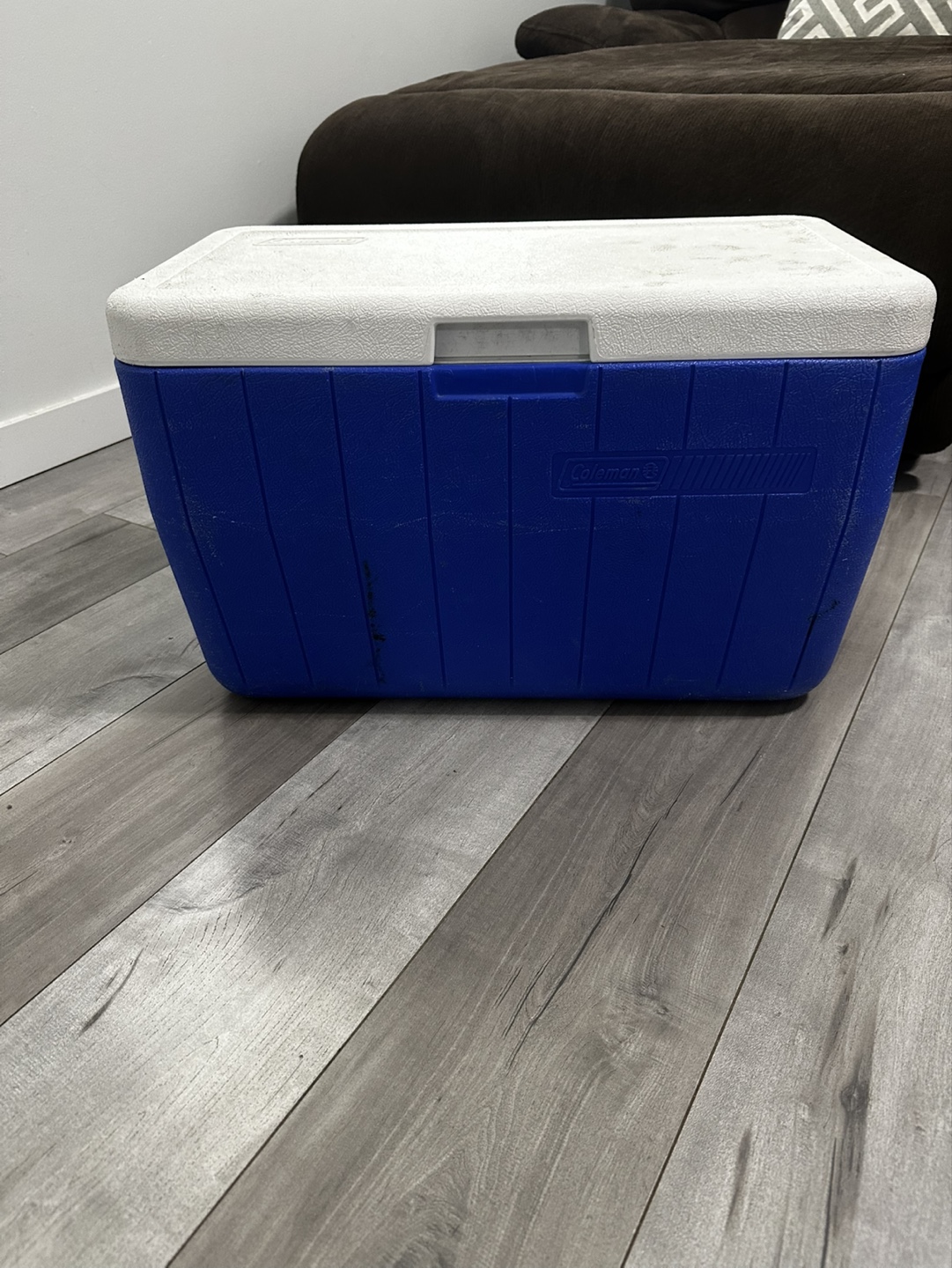Coleman 50-Quart Cooler