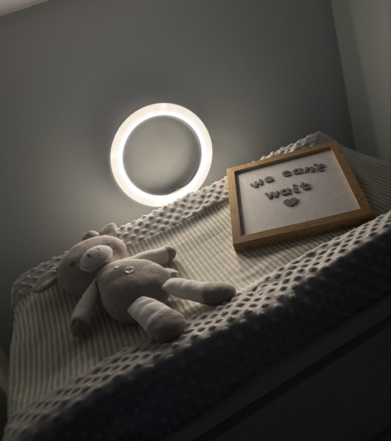Reece Studio Felt Letterboard Set - Baby Milestone Photo Prop - photo 4