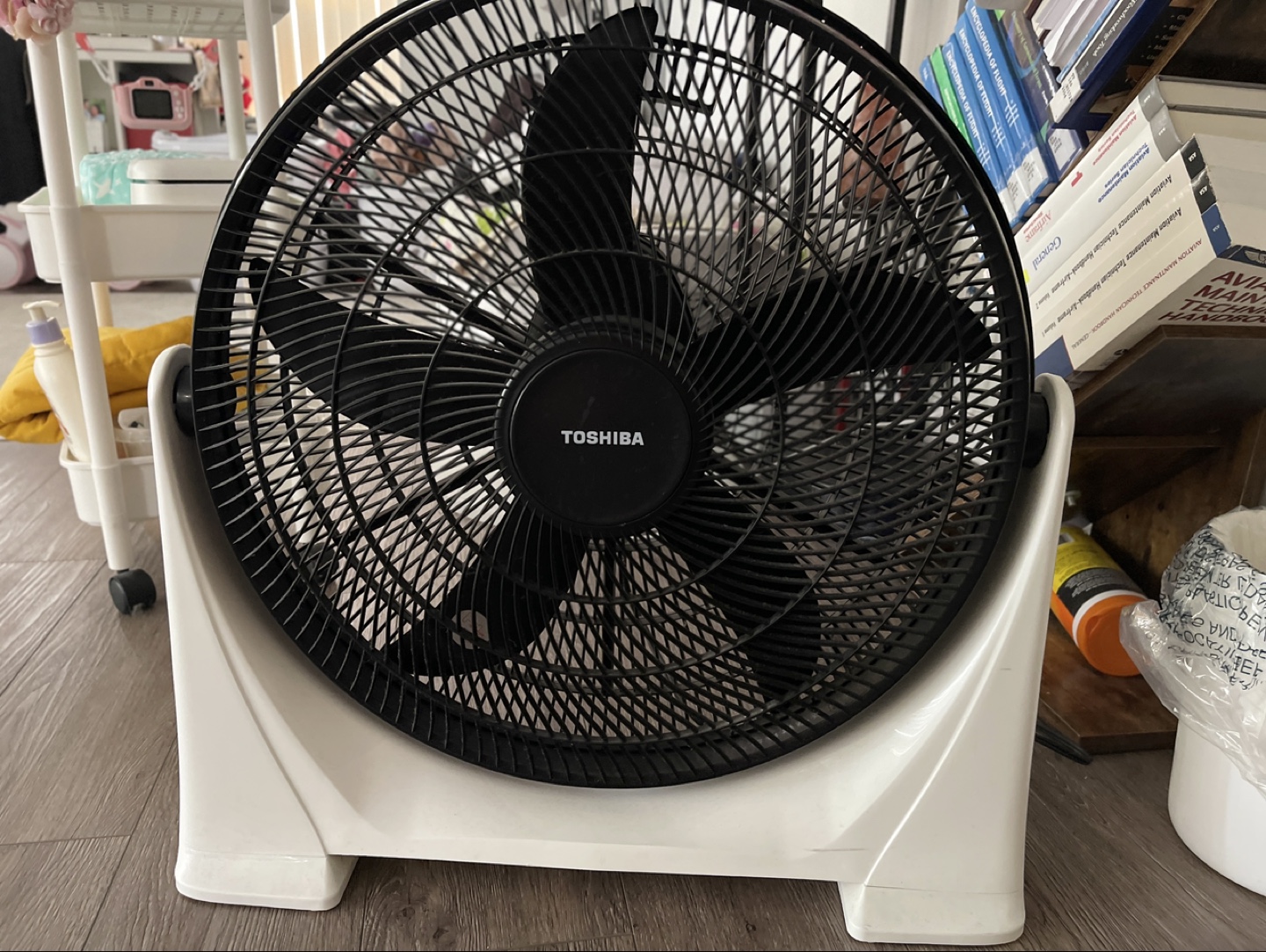 Toshiba Stand Fan