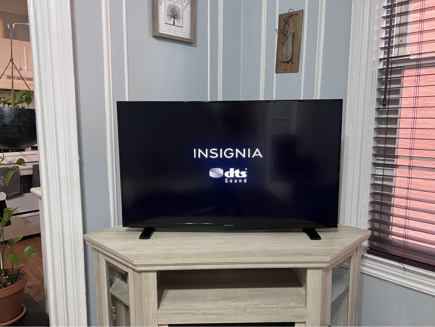 Insignia Smart TV
