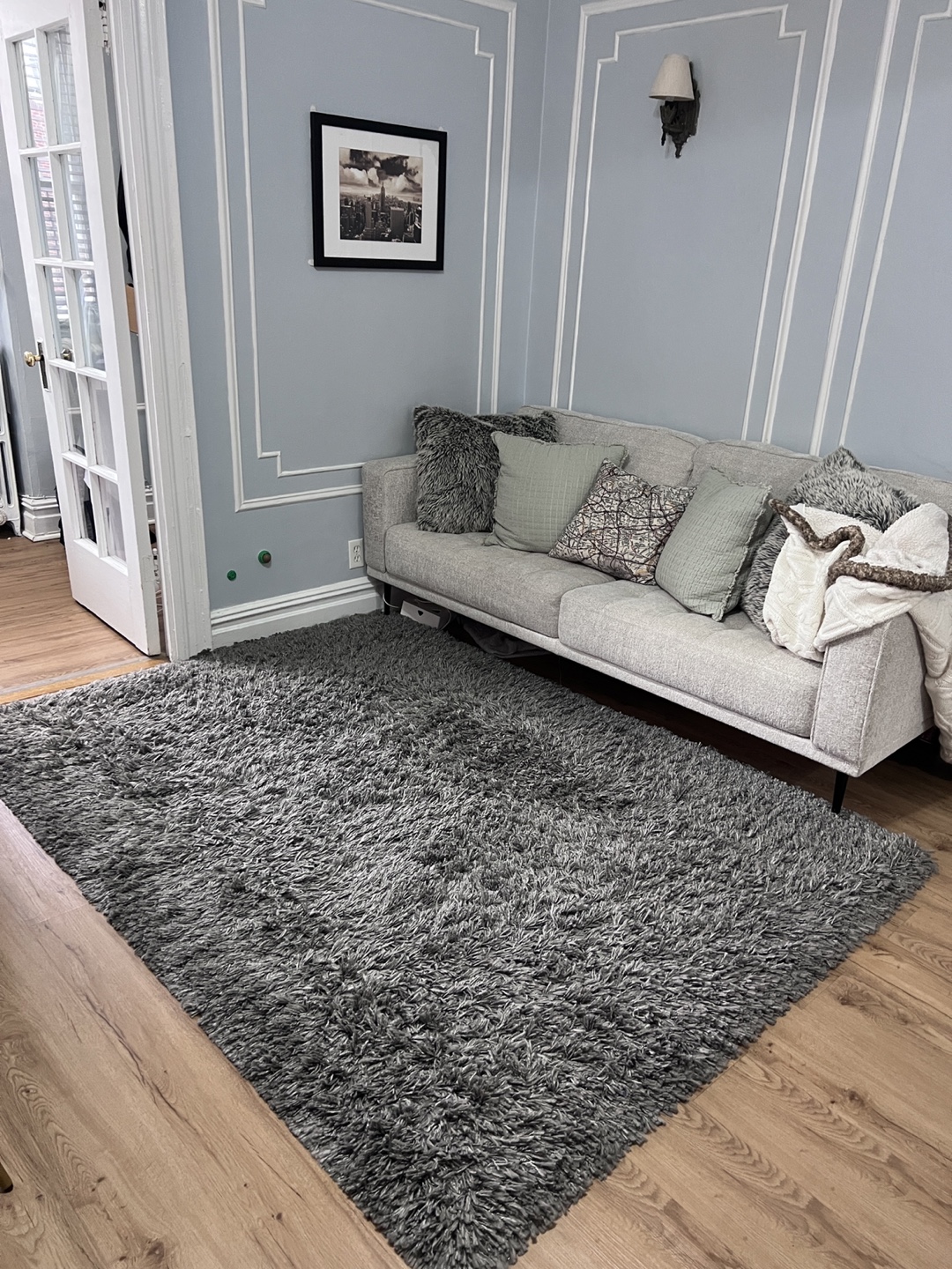 Gray Shag Rug