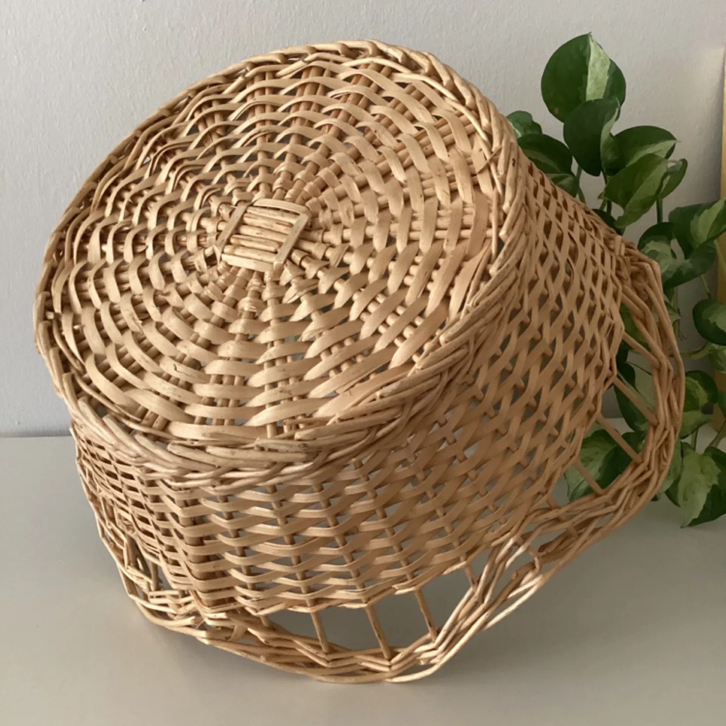 Scalloped Wicker Basket 💚 image indicator(3)