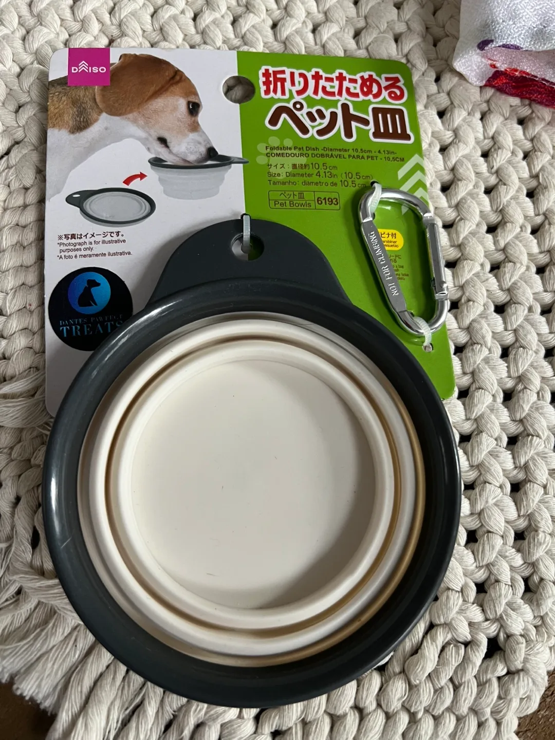 Daiso Collapsible Pet Bowl thumbnail