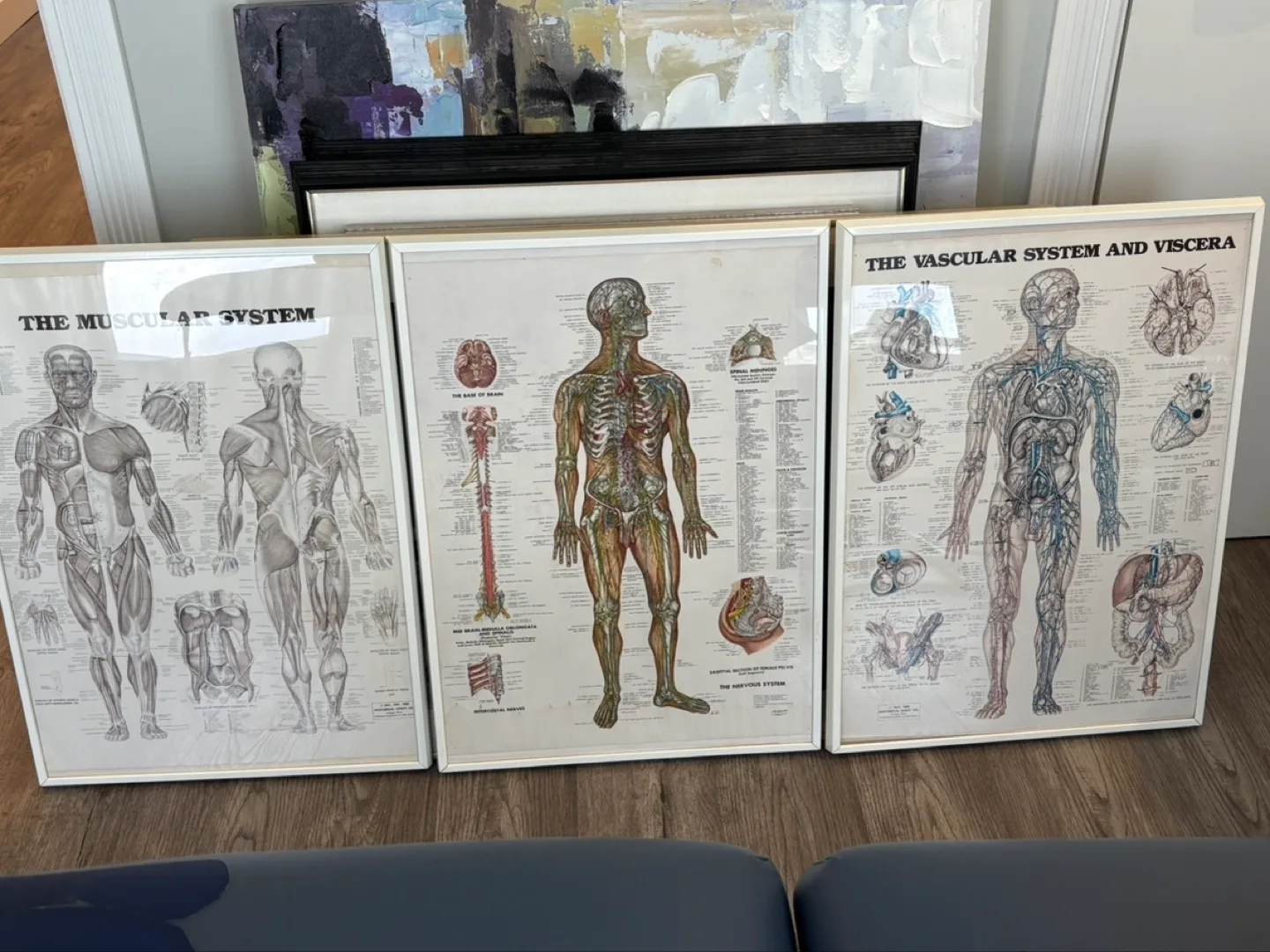 Set of three vintage anatomical charts thumbnail