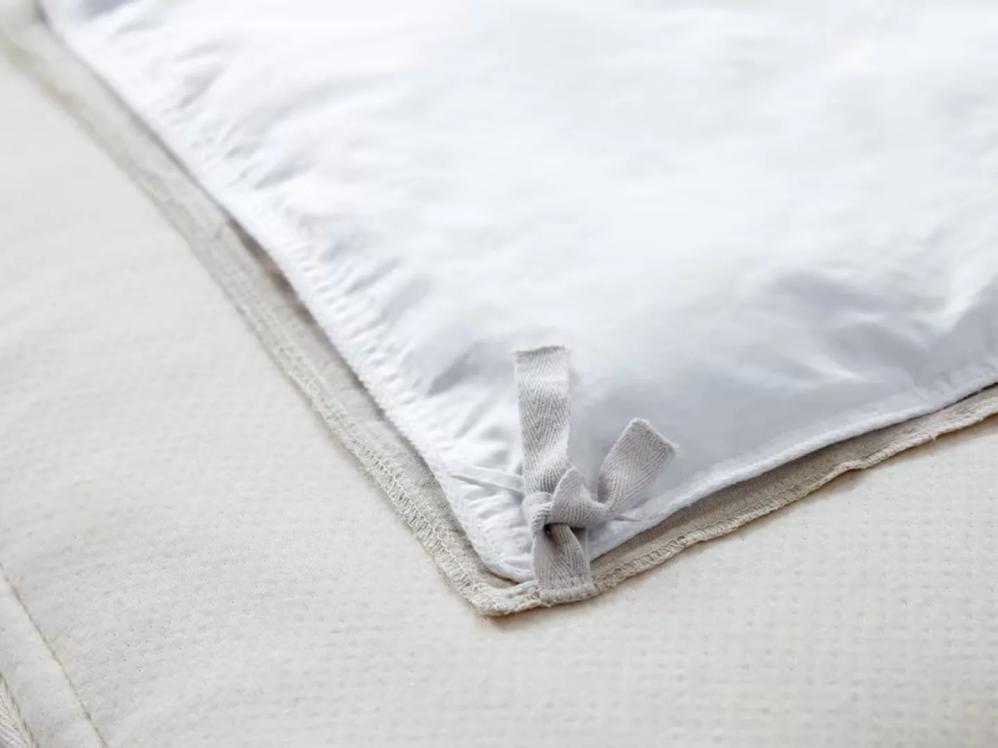 MOVING SALE- Parachute Down Alternative Duvet Insert image indicator(4)