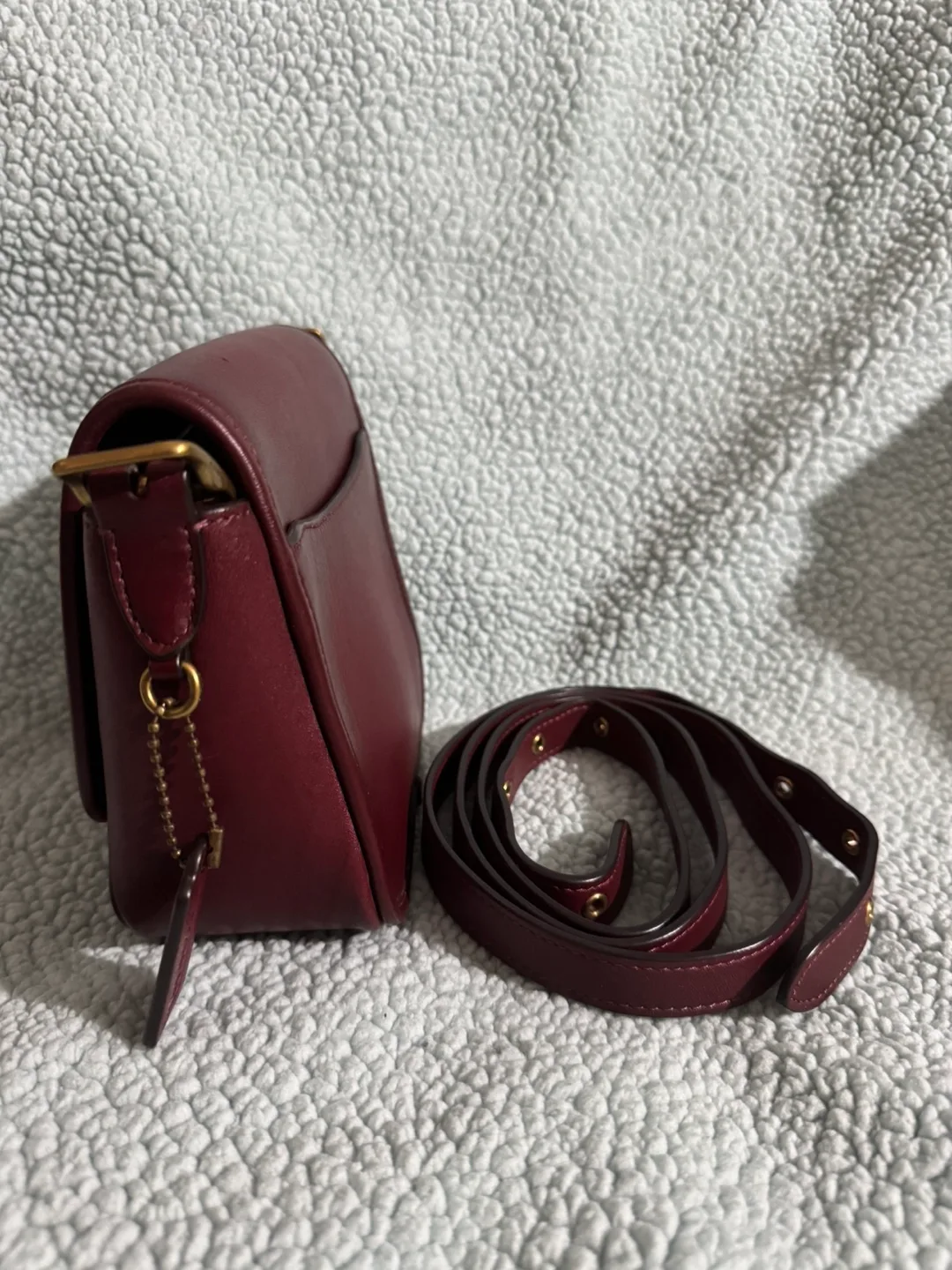 Coach Ramble Crossbody 16 image indicator(6)