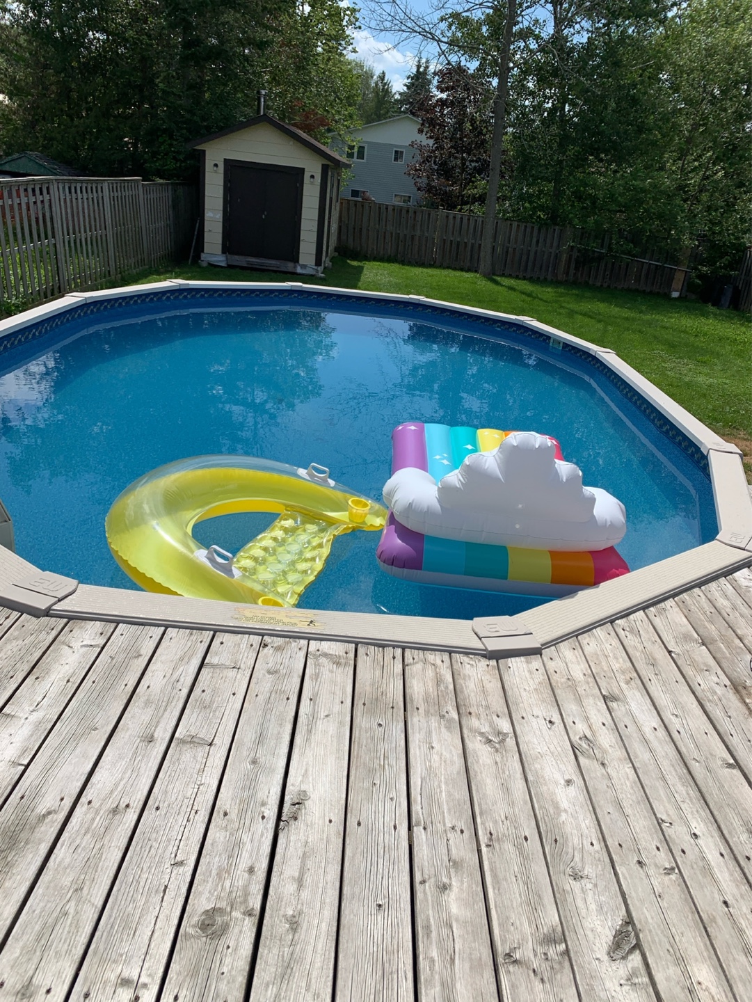 Above Ground Pool with Cover