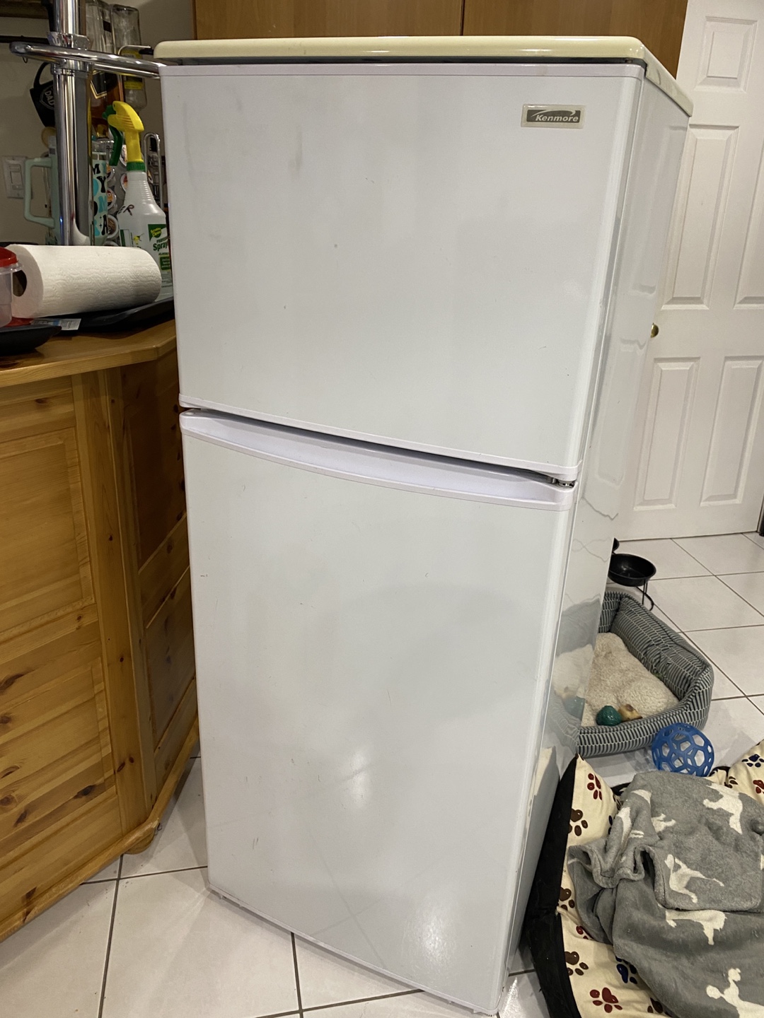 Kenmore Top Freezer Refrigerator - photo 4