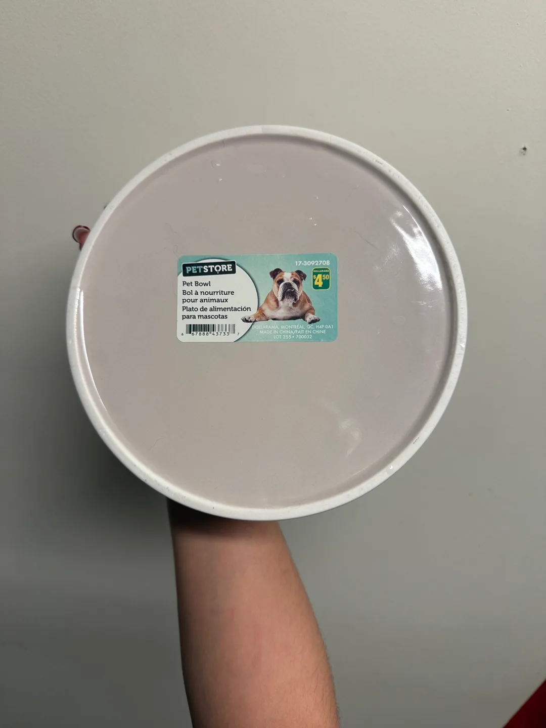 💚 Ceramic Pet Food or Water Bowl - Chevron Design image indicator(3)