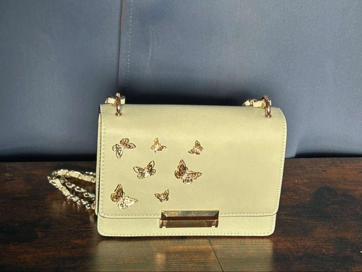 Aldo Mint Green Butterfly Crossbody Purse Karrot