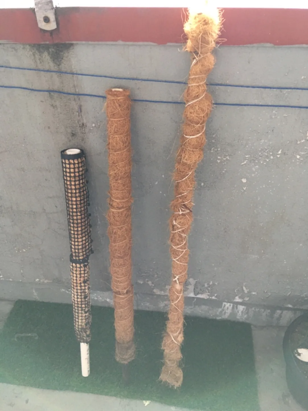 Moss Pole x 3 image indicator(2)