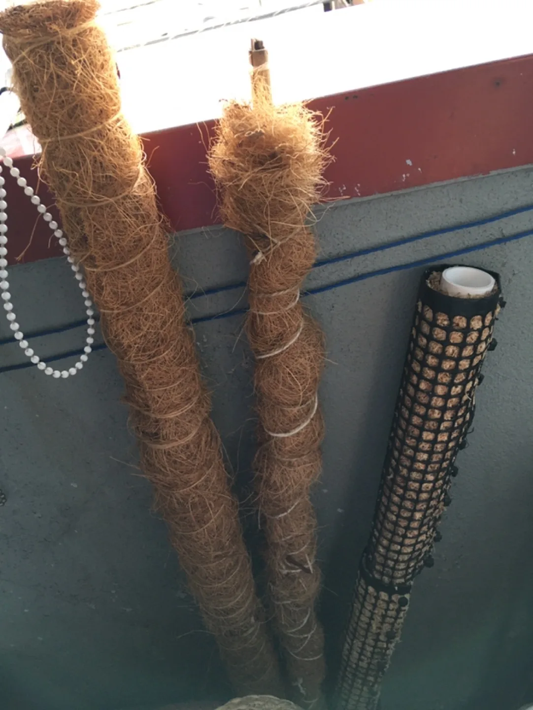 Moss Pole x 3 image indicator(3)