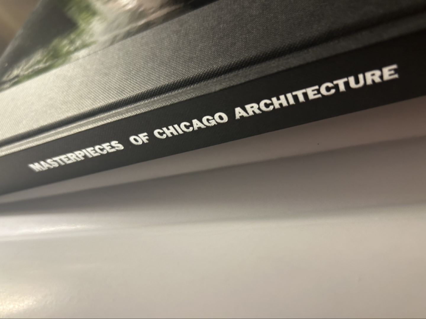 Masterpieces of Chicago Architecture Book - photo 2