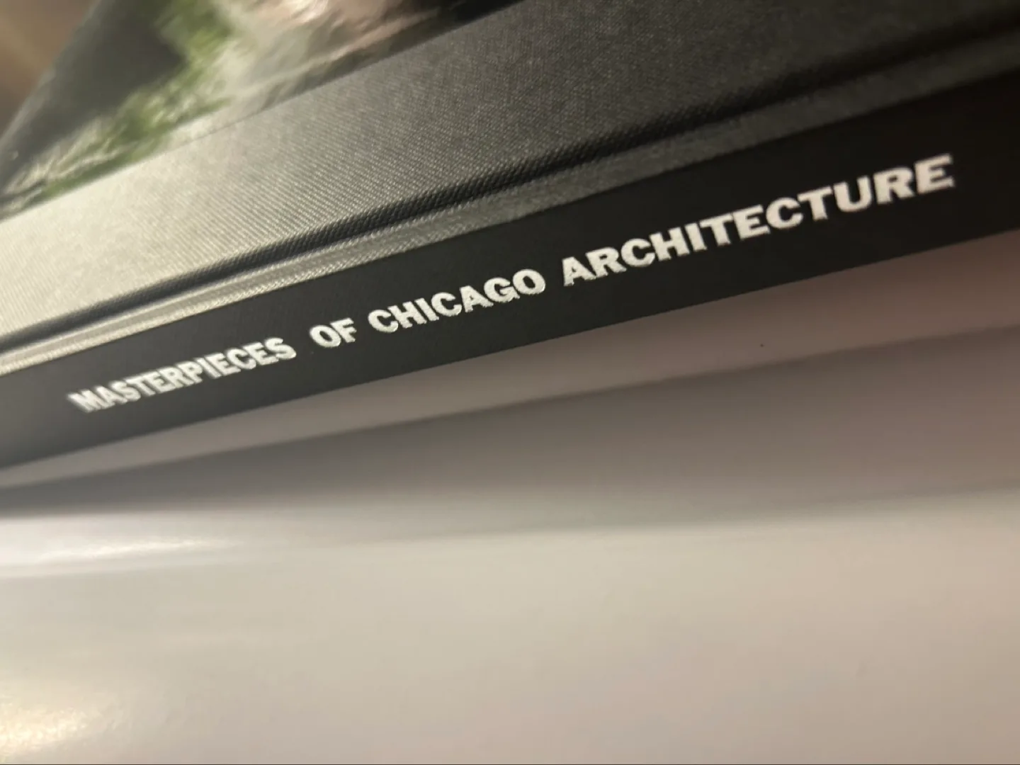 Masterpieces of Chicago Architecture Book image indicator(2)