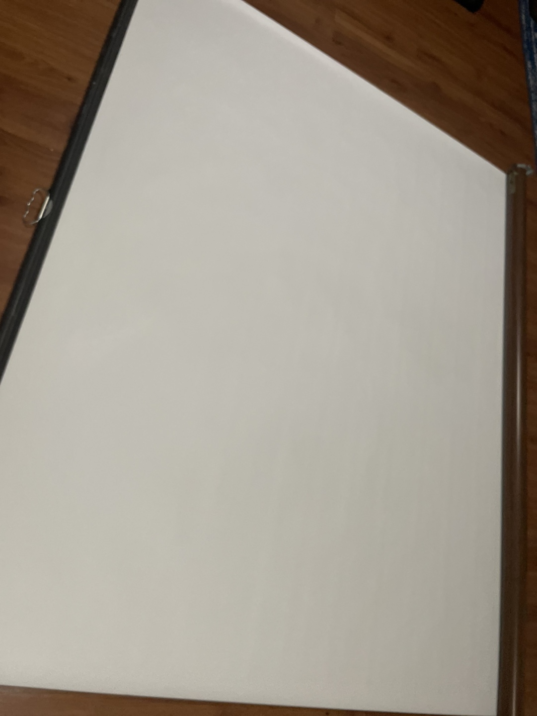 Pull-Down Projector Screen - photo 5