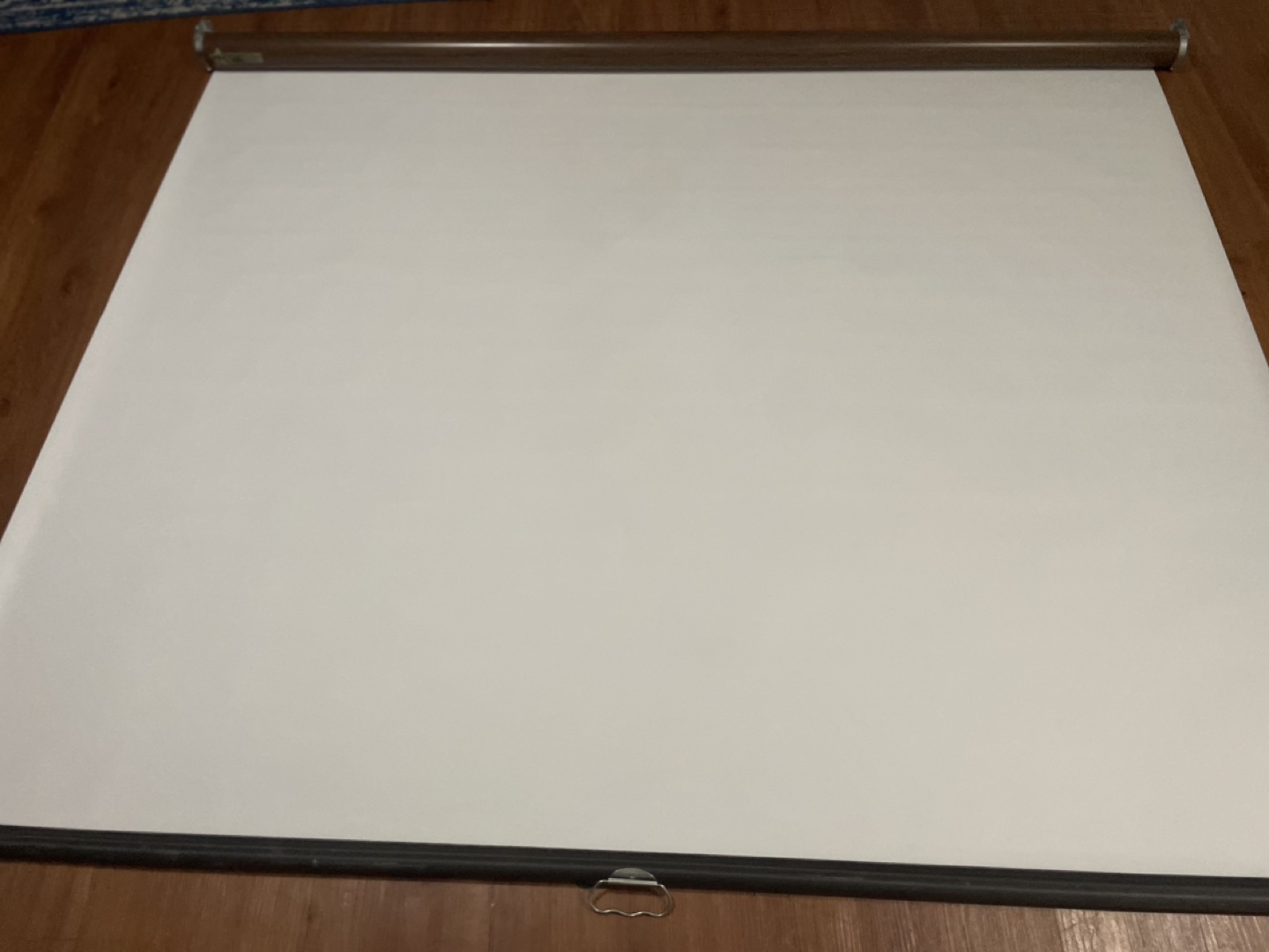 Pull-Down Projector Screen - photo 3