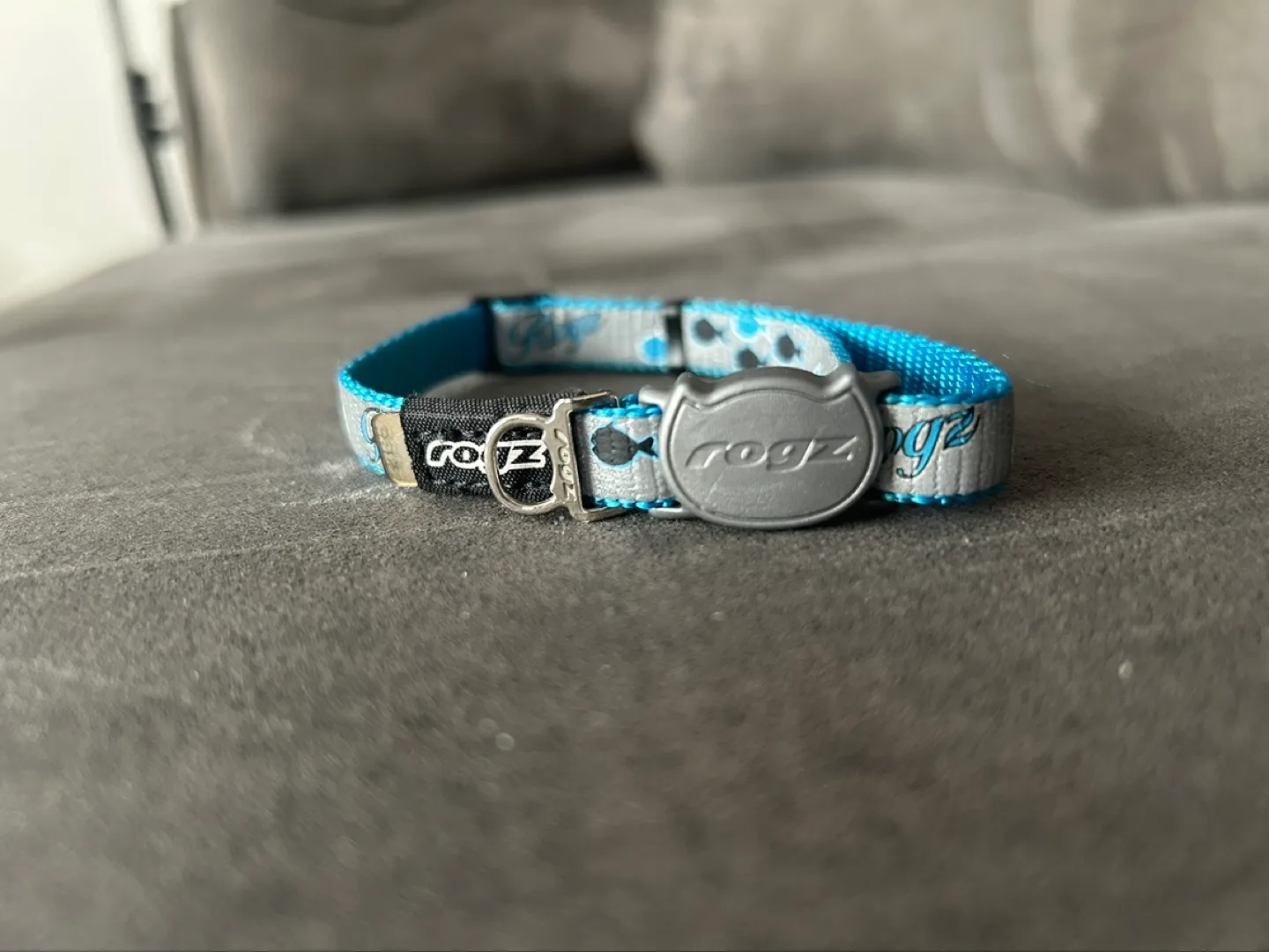 Rogz Pet Collar, Leash & Harness Set image indicator(2)