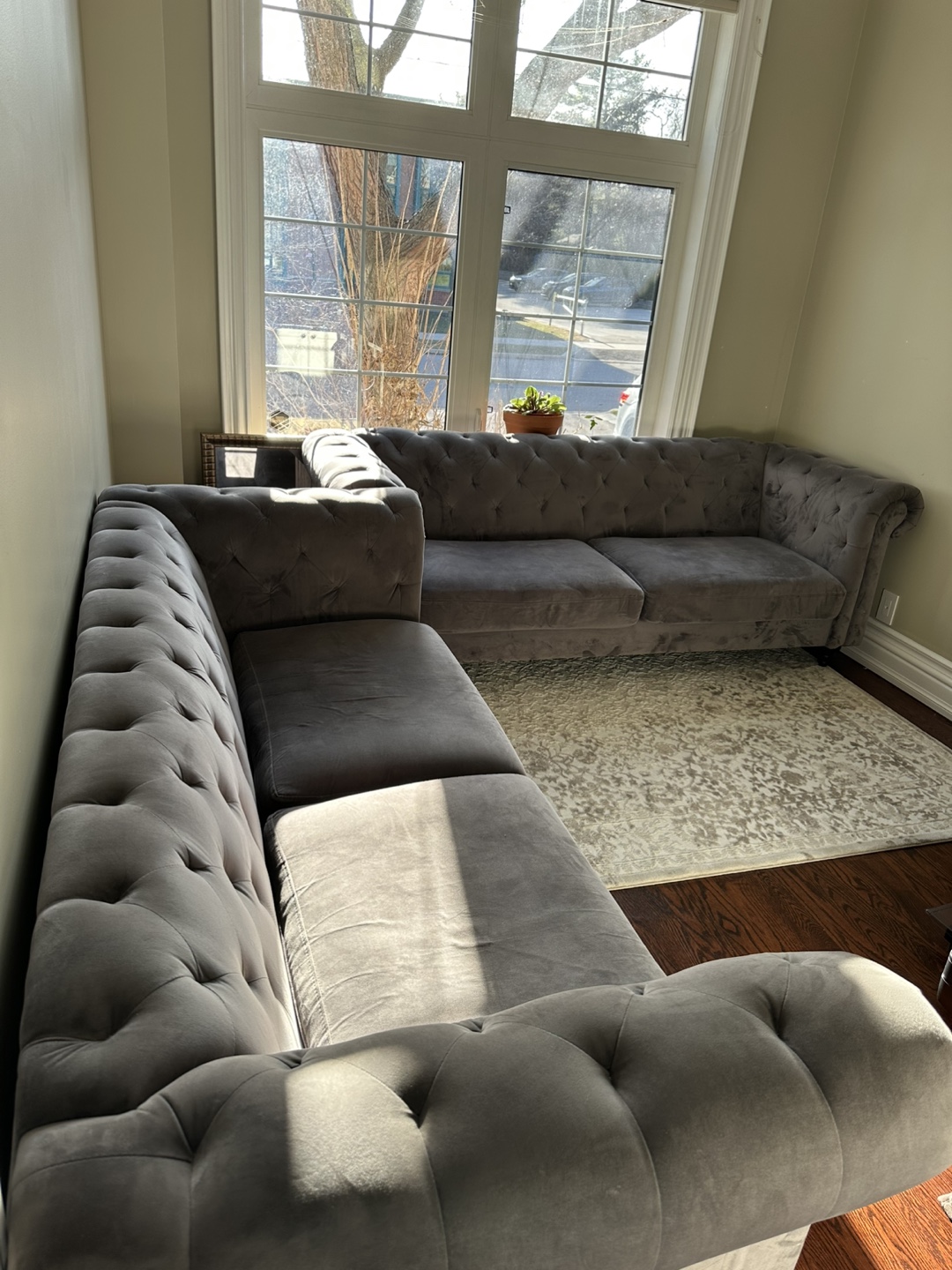 Two Grey Velvet Chesterfield Sofas