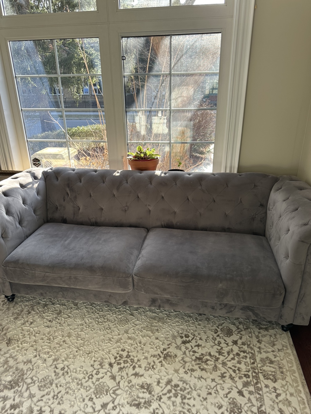Two Grey Velvet Chesterfield Sofas - photo 2