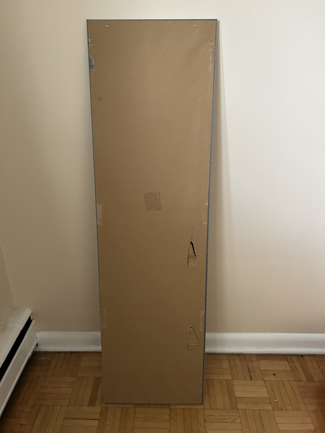 hometrends White Wash Door Mirror 14x48in - photo 2