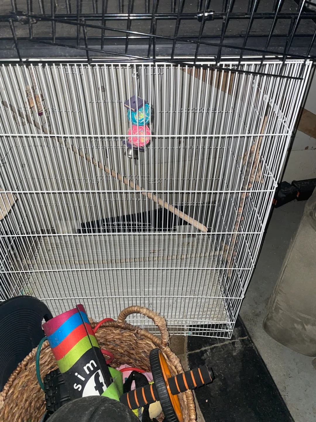 Large Bird Cage image indicator(2)