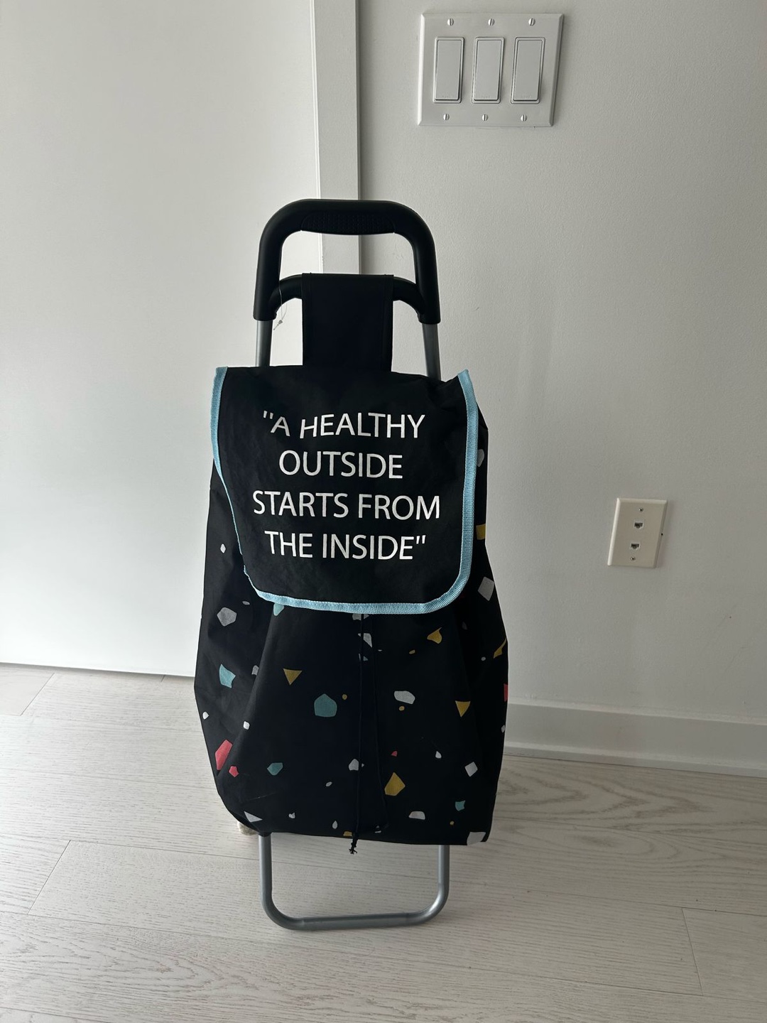 Shopping Cart with Wheels and Removable Bag