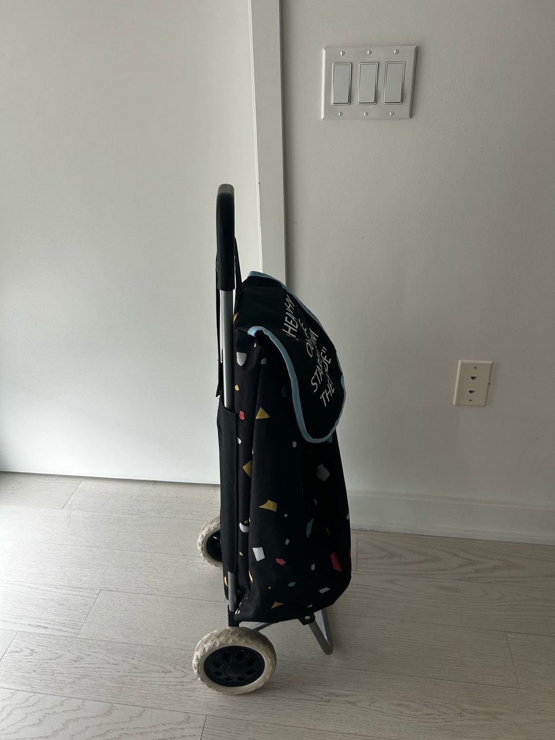 Shopping Cart with Wheels and Removable Bag - photo 2