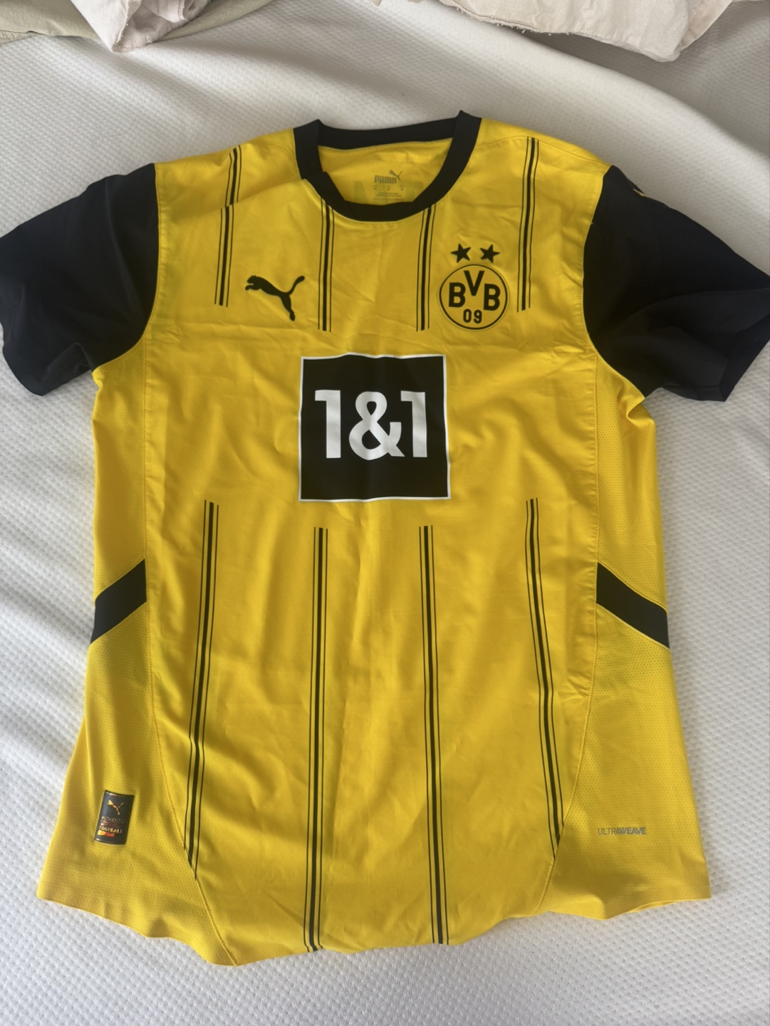 Borussia Dortmund Authentic Puma, M