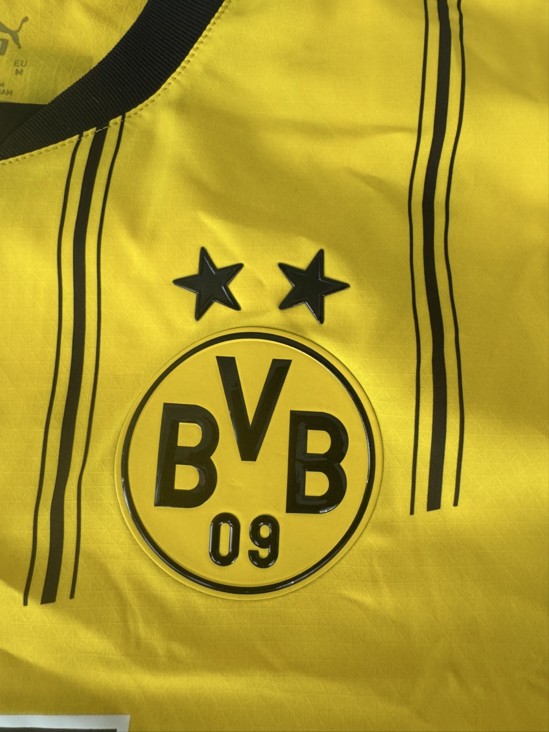 Borussia Dortmund Authentic Puma, M - photo 3
