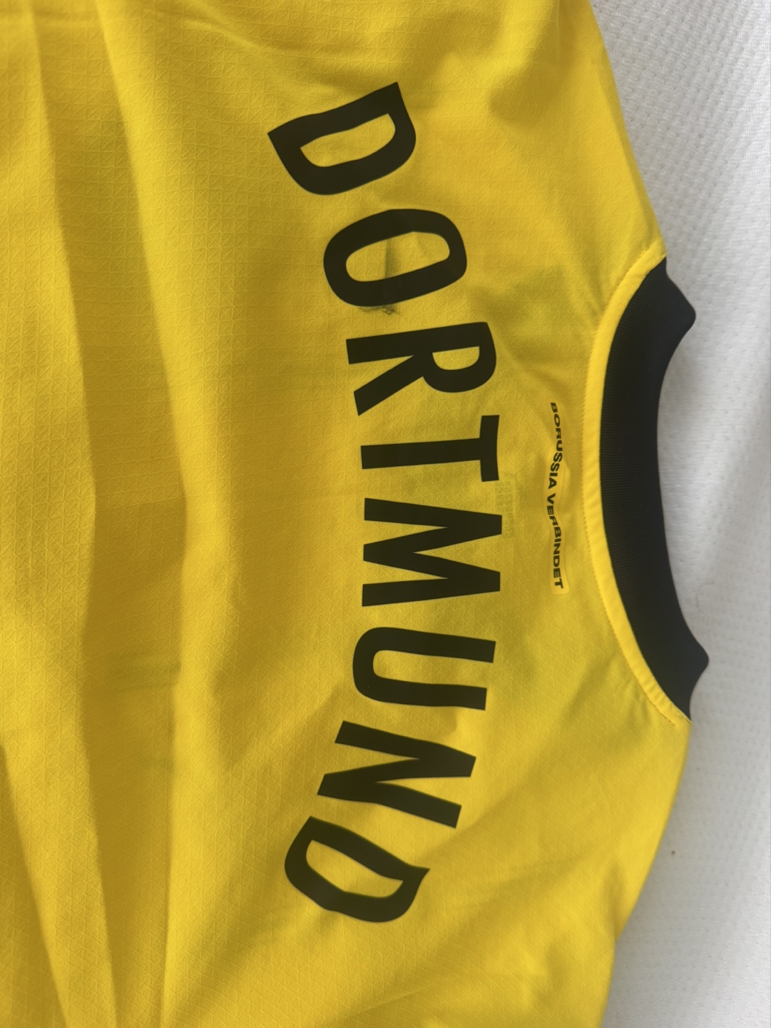 Borussia Dortmund Authentic Puma, M - photo 5