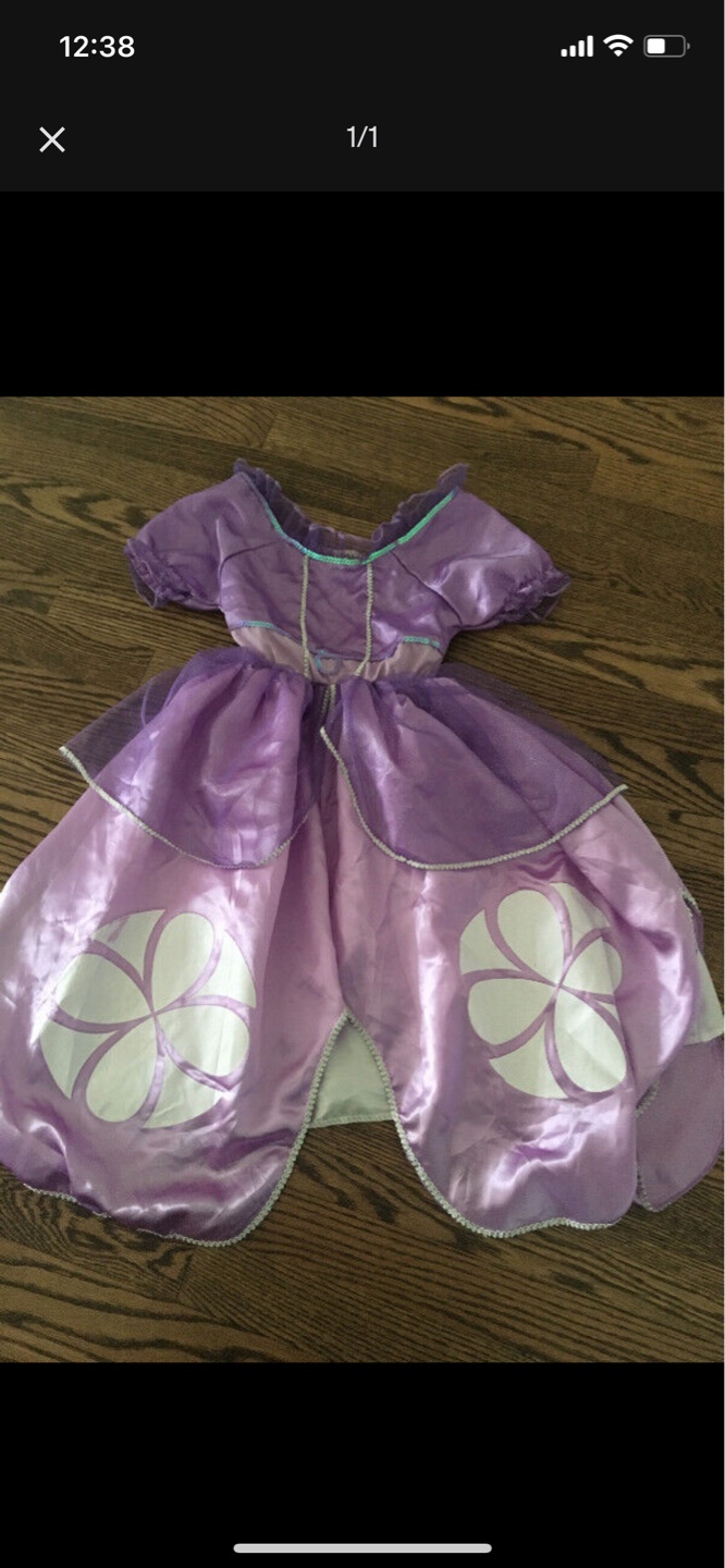 Sophia the First  Dress