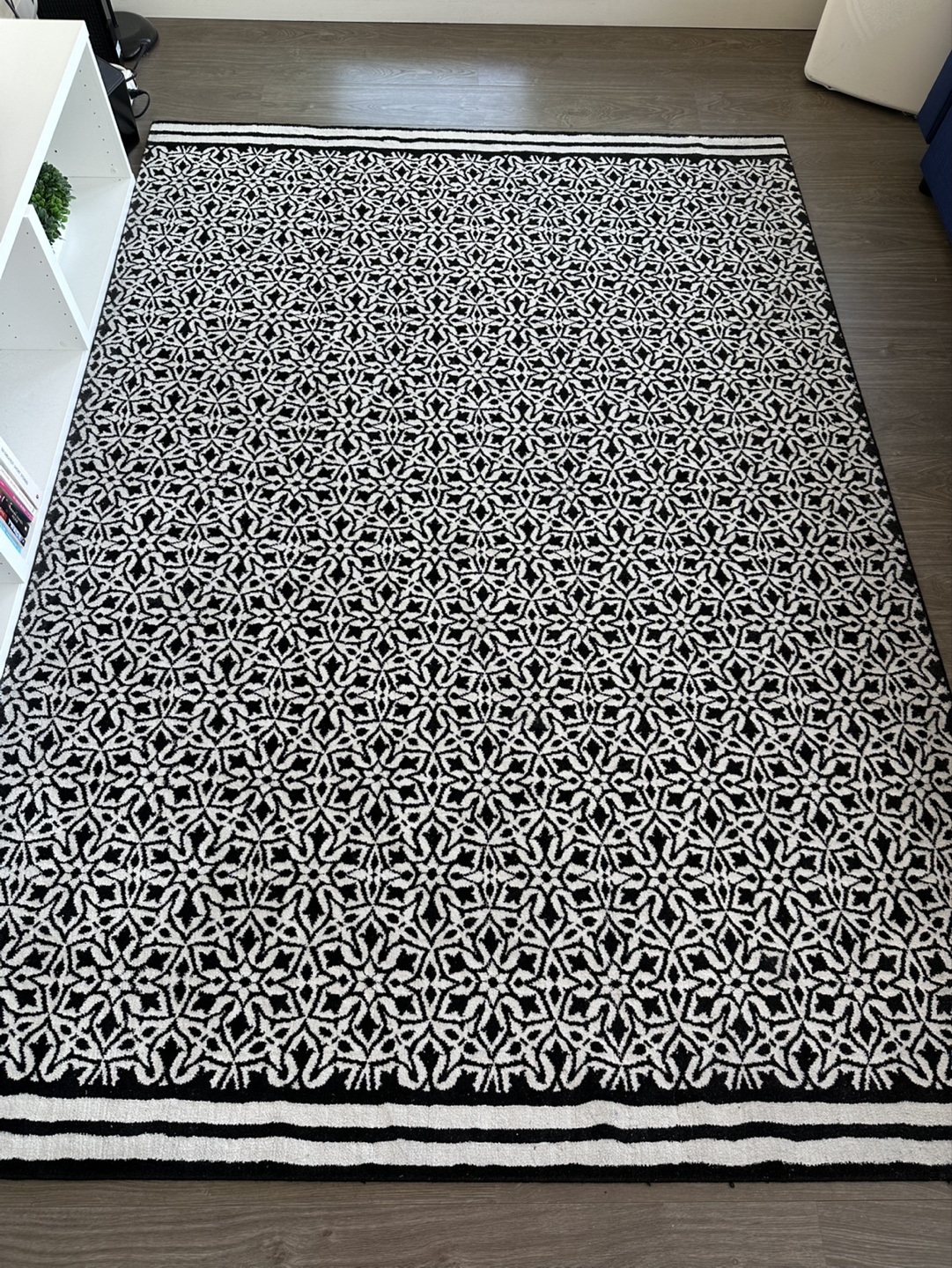 Black and White patterned rug