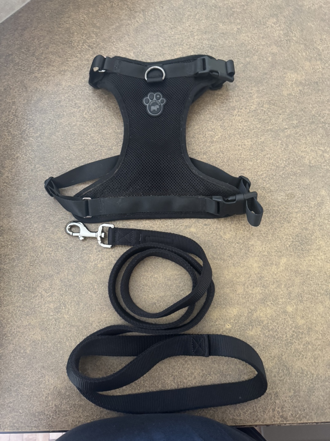 Canada Pooch Dog Harness and Leash Set
