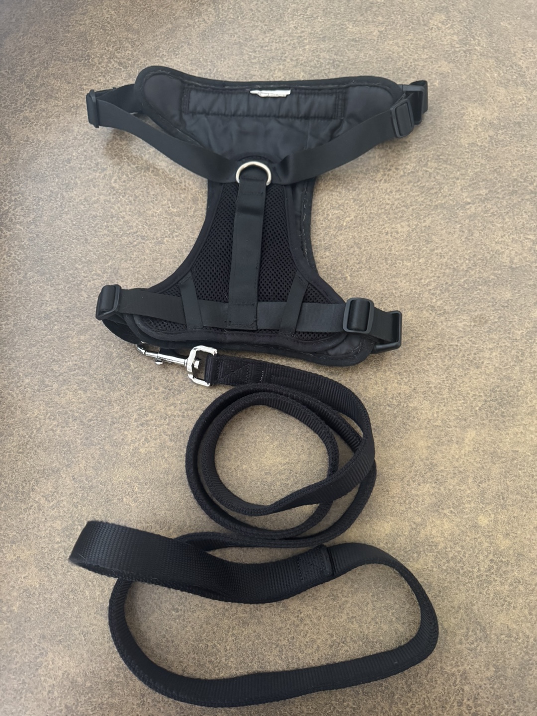 Canada Pooch Dog Harness and Leash Set - photo 2