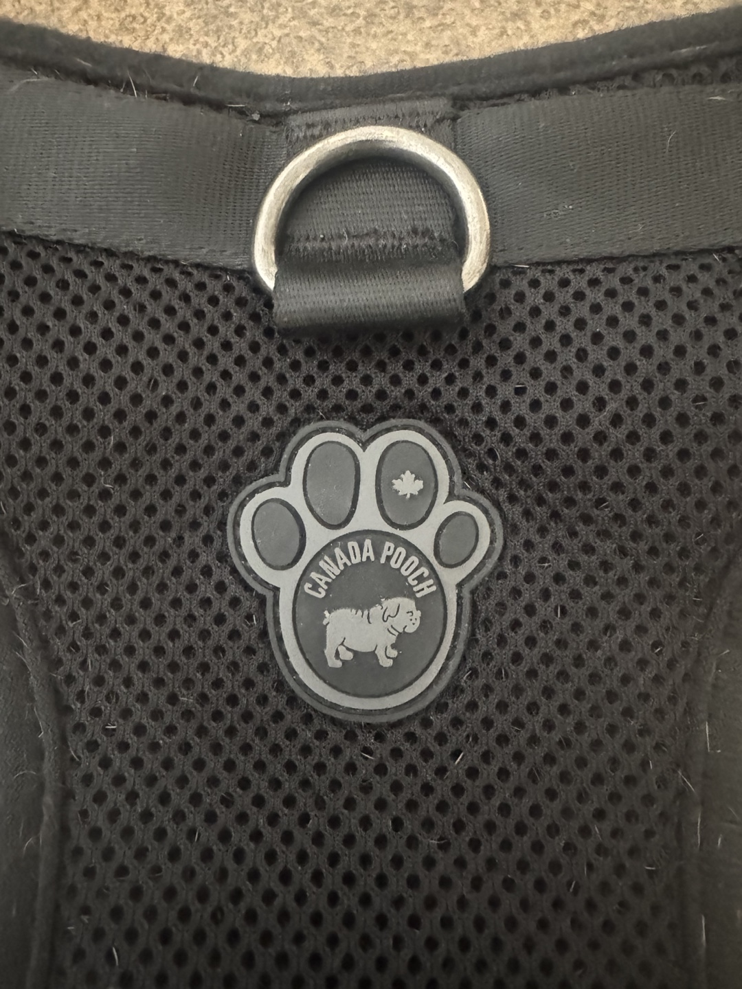 Canada Pooch Dog Harness and Leash Set - photo 3