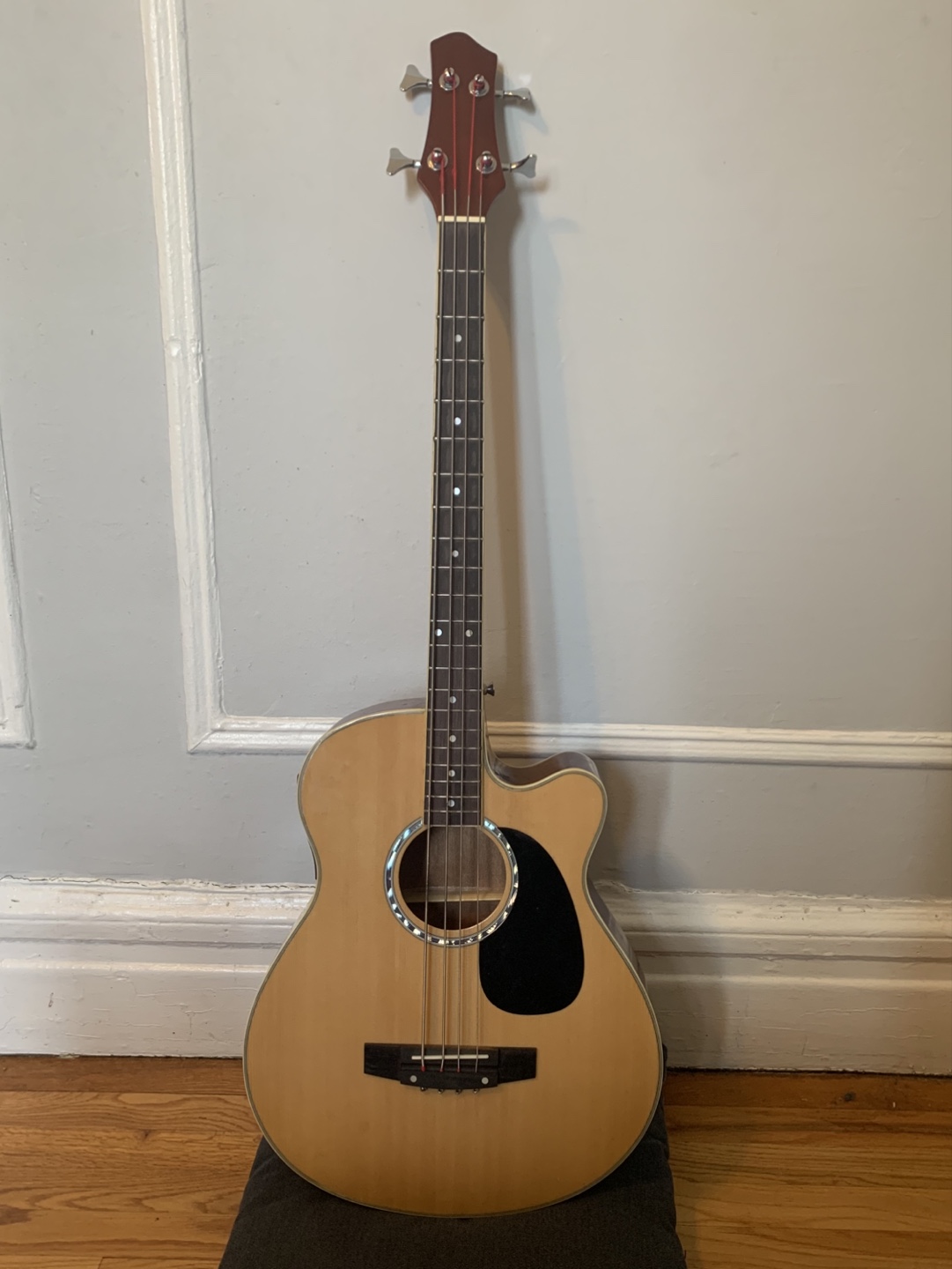 Acoustic Bass Guitar - photo 2