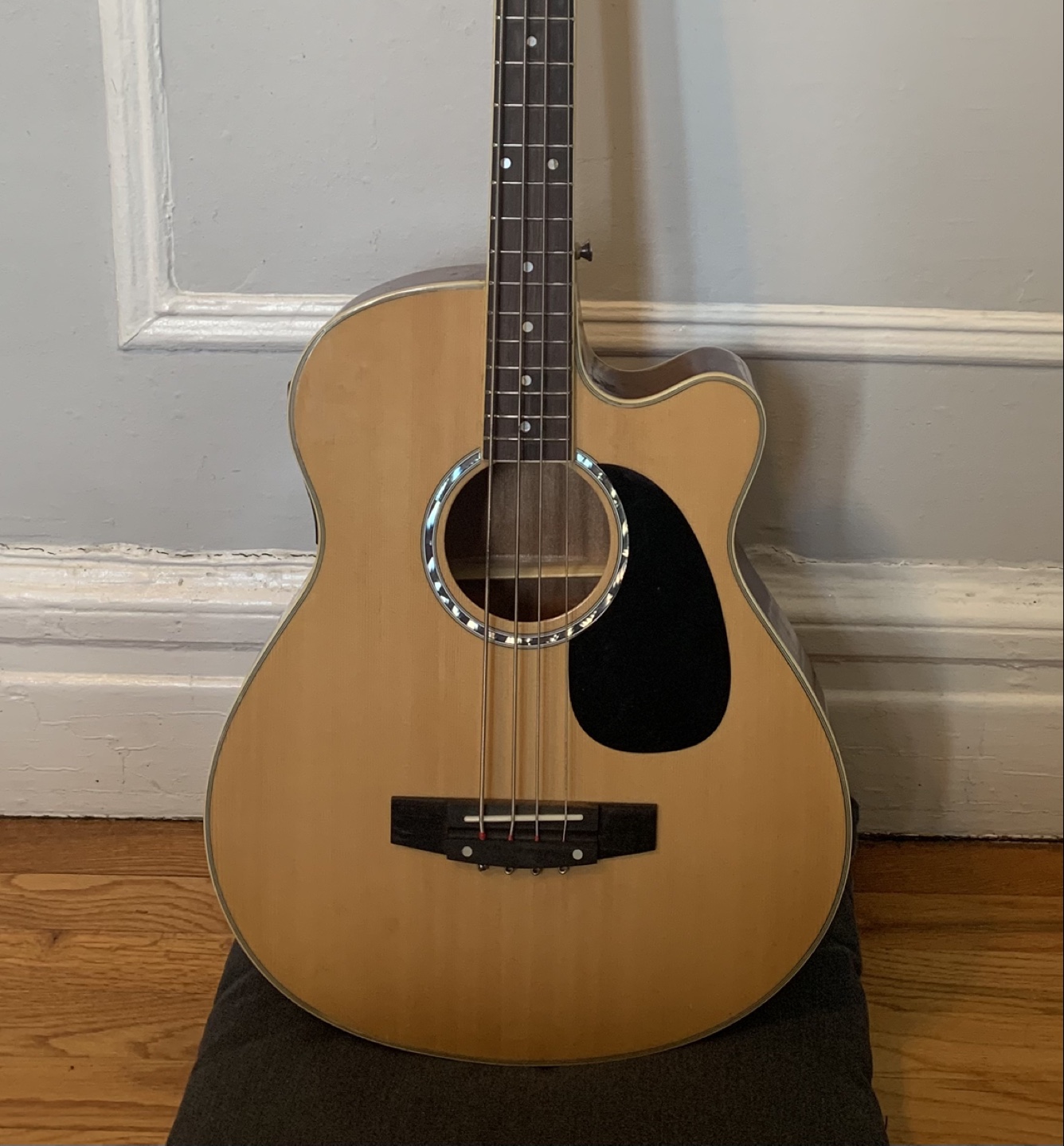 Acoustic Bass Guitar