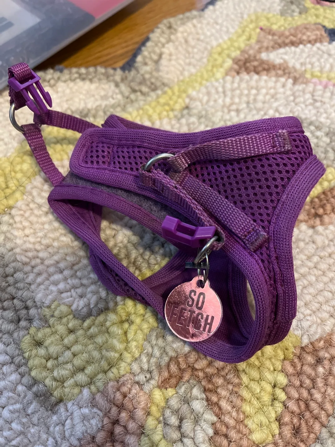 Purple Small Dog Harness— “So Fetch” tag. image indicator(3)