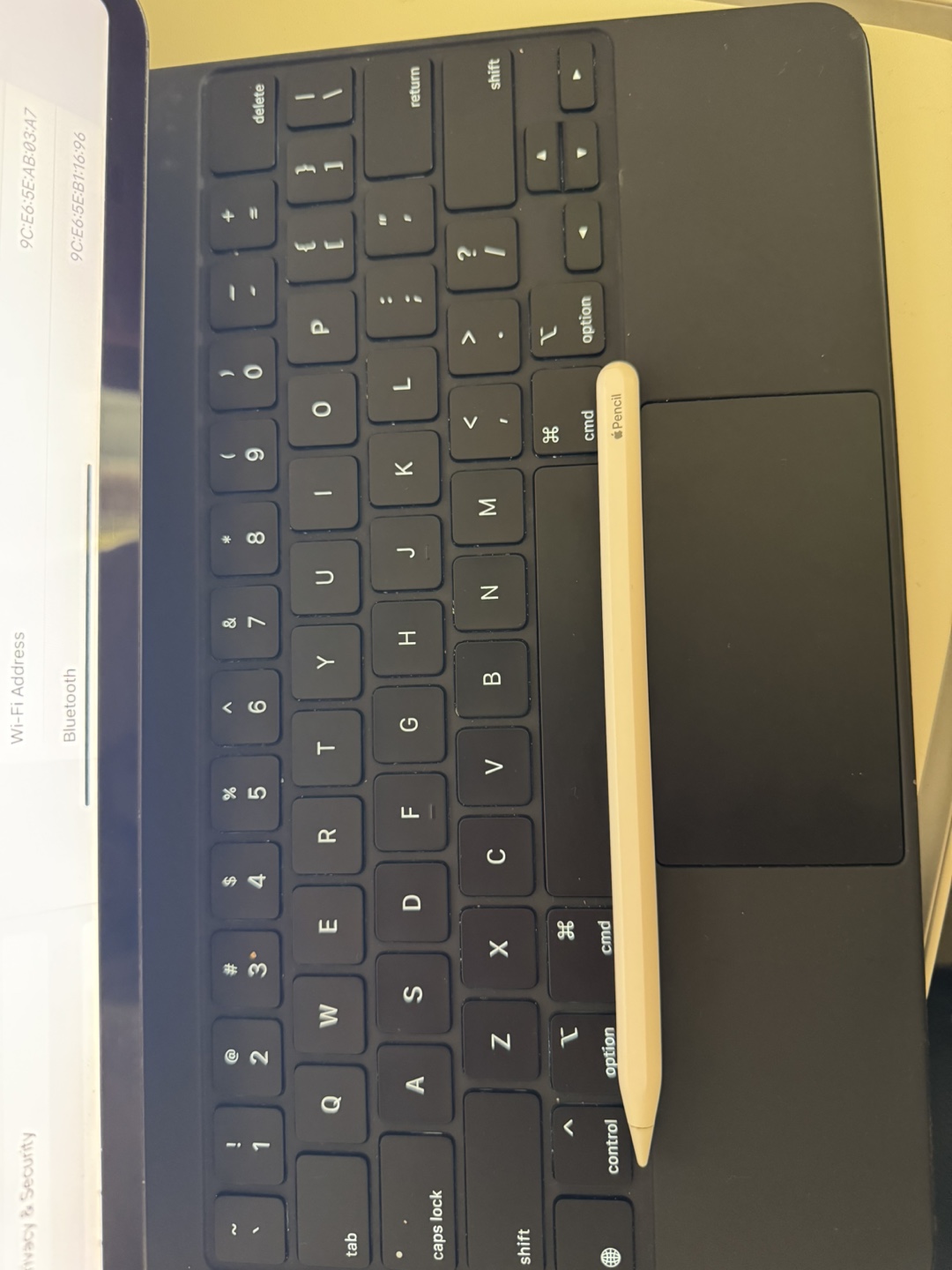 iPad Pro 12.9-inch with Apple Accessories - photo 2