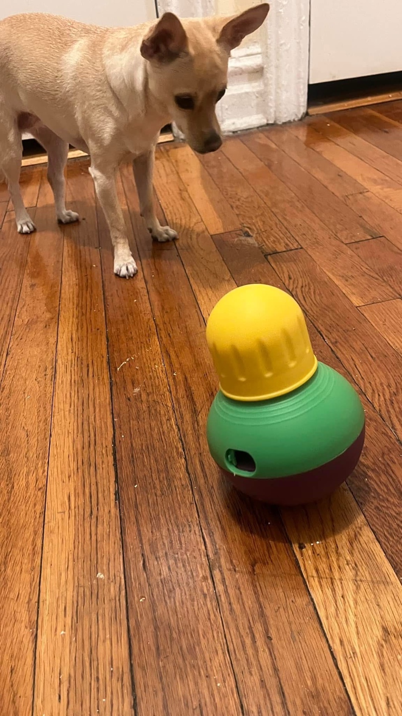 Interactive Dog Toy 💚