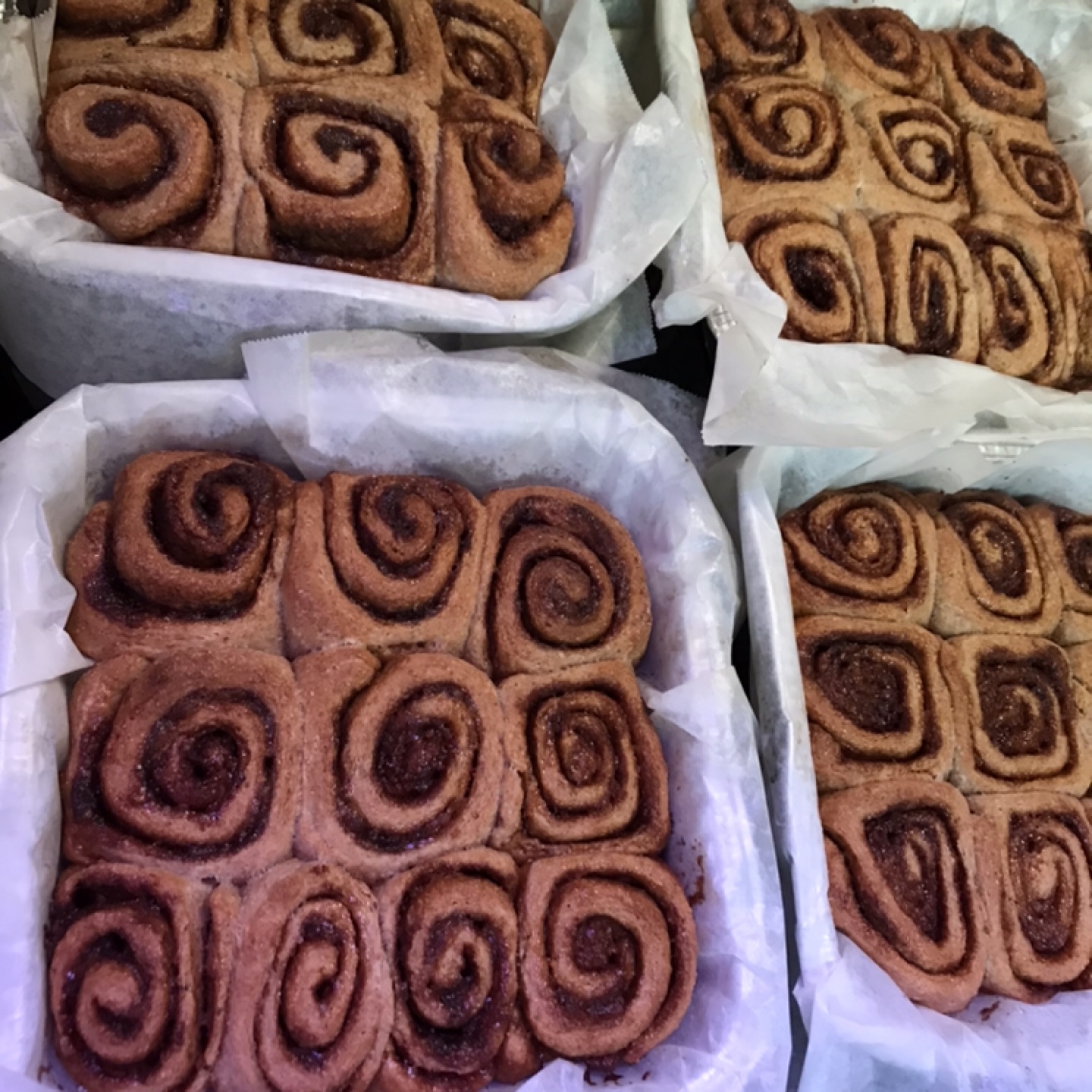 Lower Sugar Whole Wheat Cinnamon Buns - Home Baked - photo 4