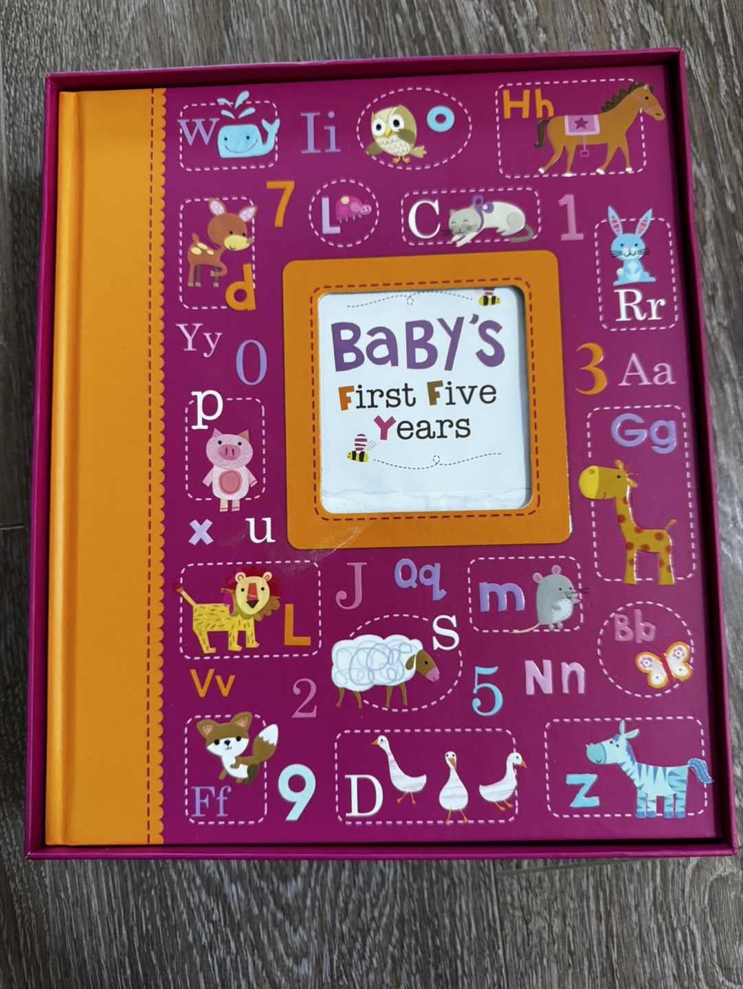 Baby's First Five Years Memory Book