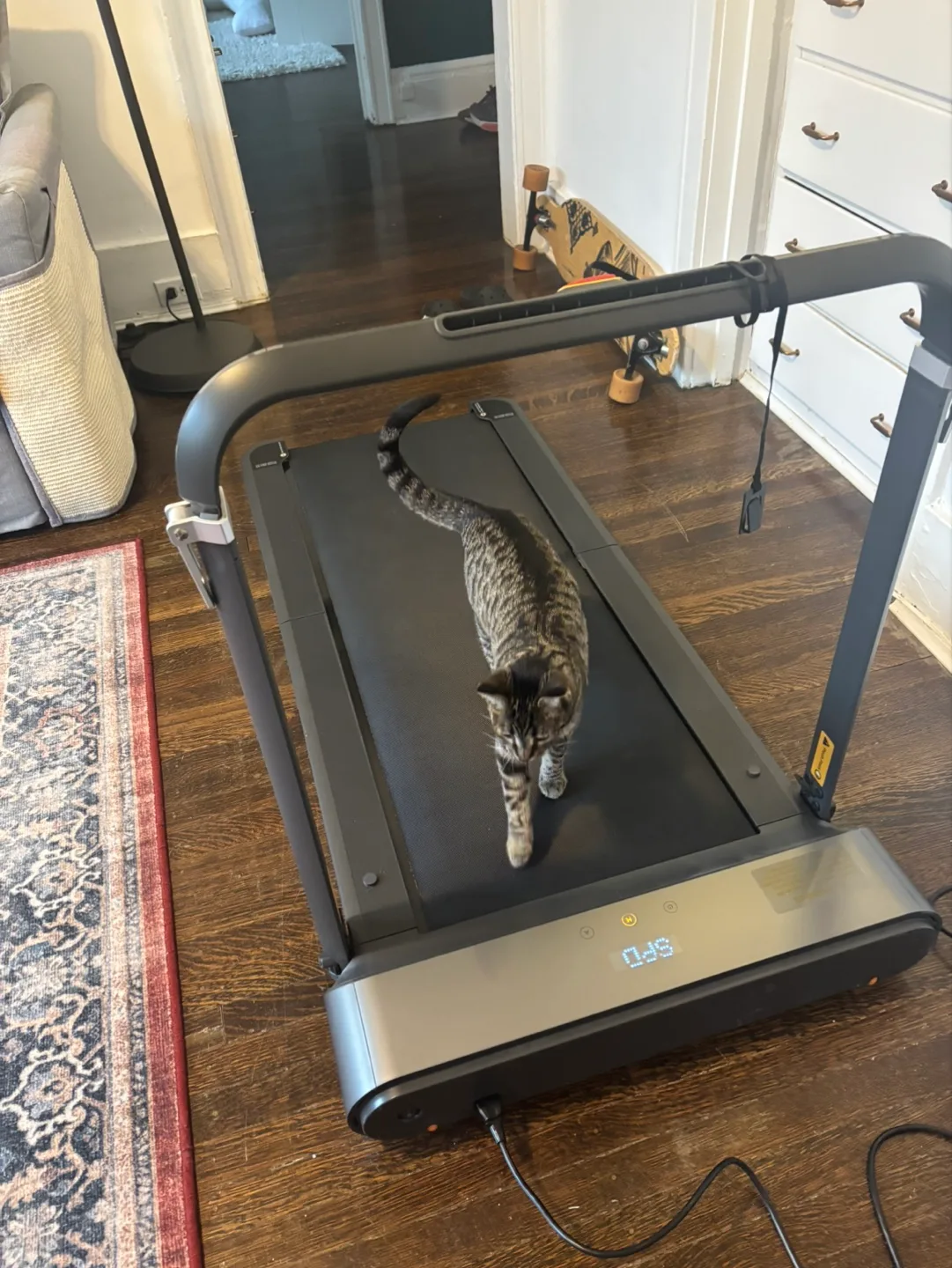 WalkingPad R1 Pro Foldable Treadmill thumbnail