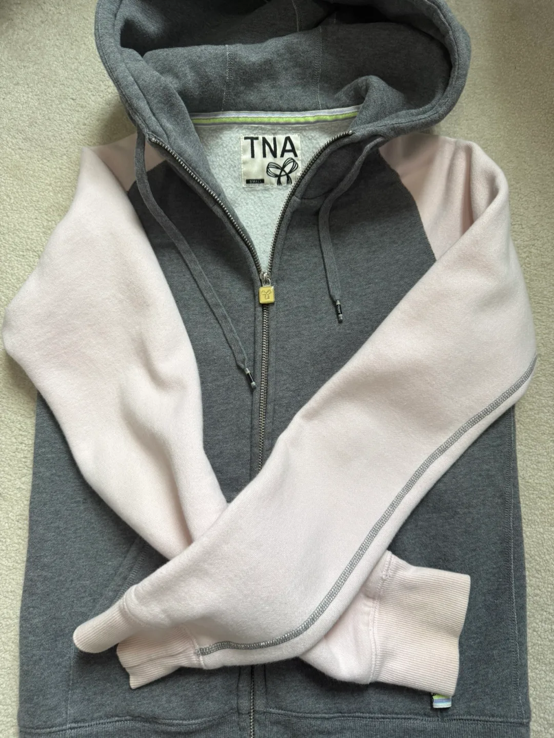 Aritzia TNA Hoodie [S] image indicator(2)
