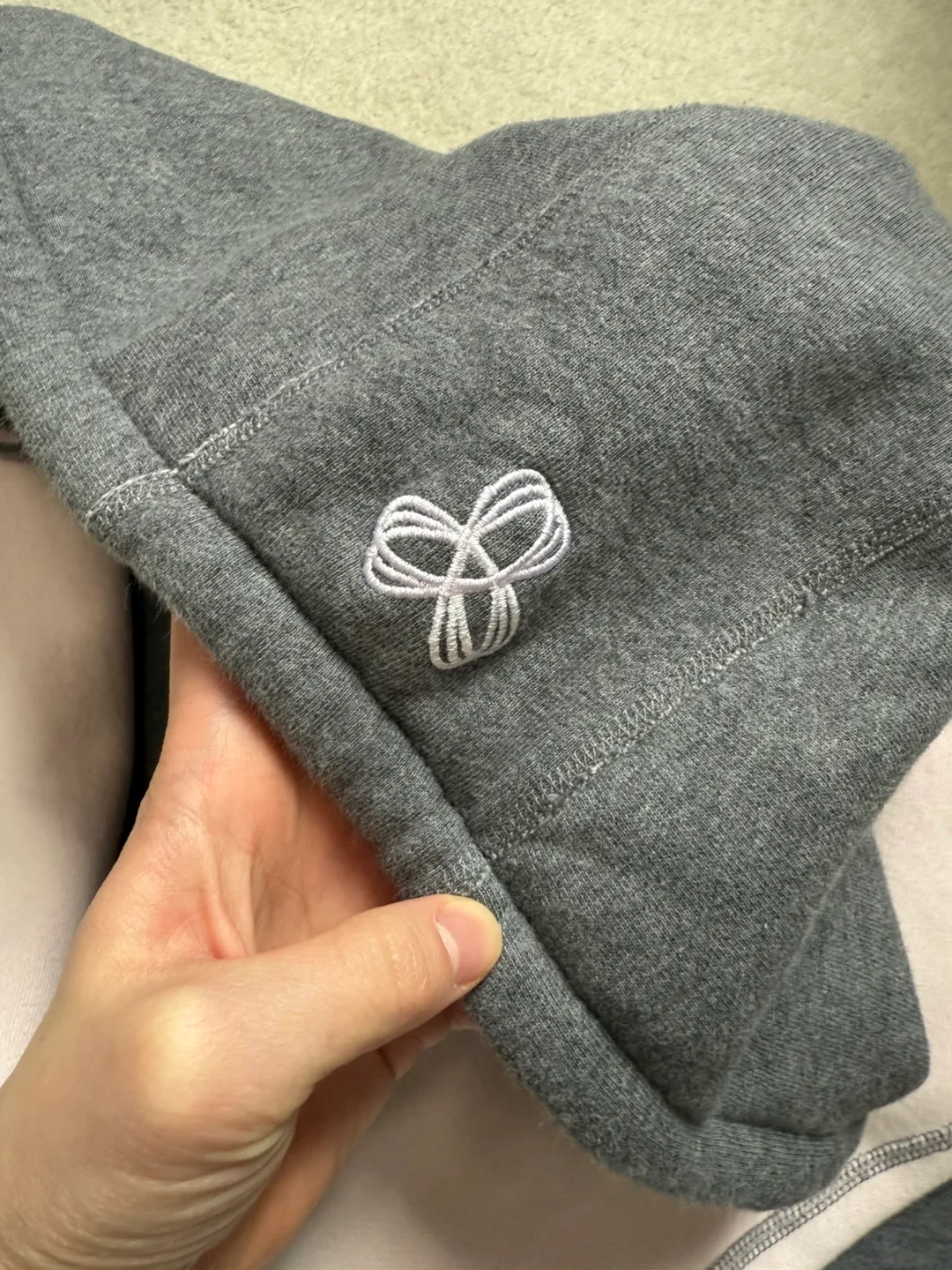 Aritzia TNA Hoodie [S] image indicator(4)